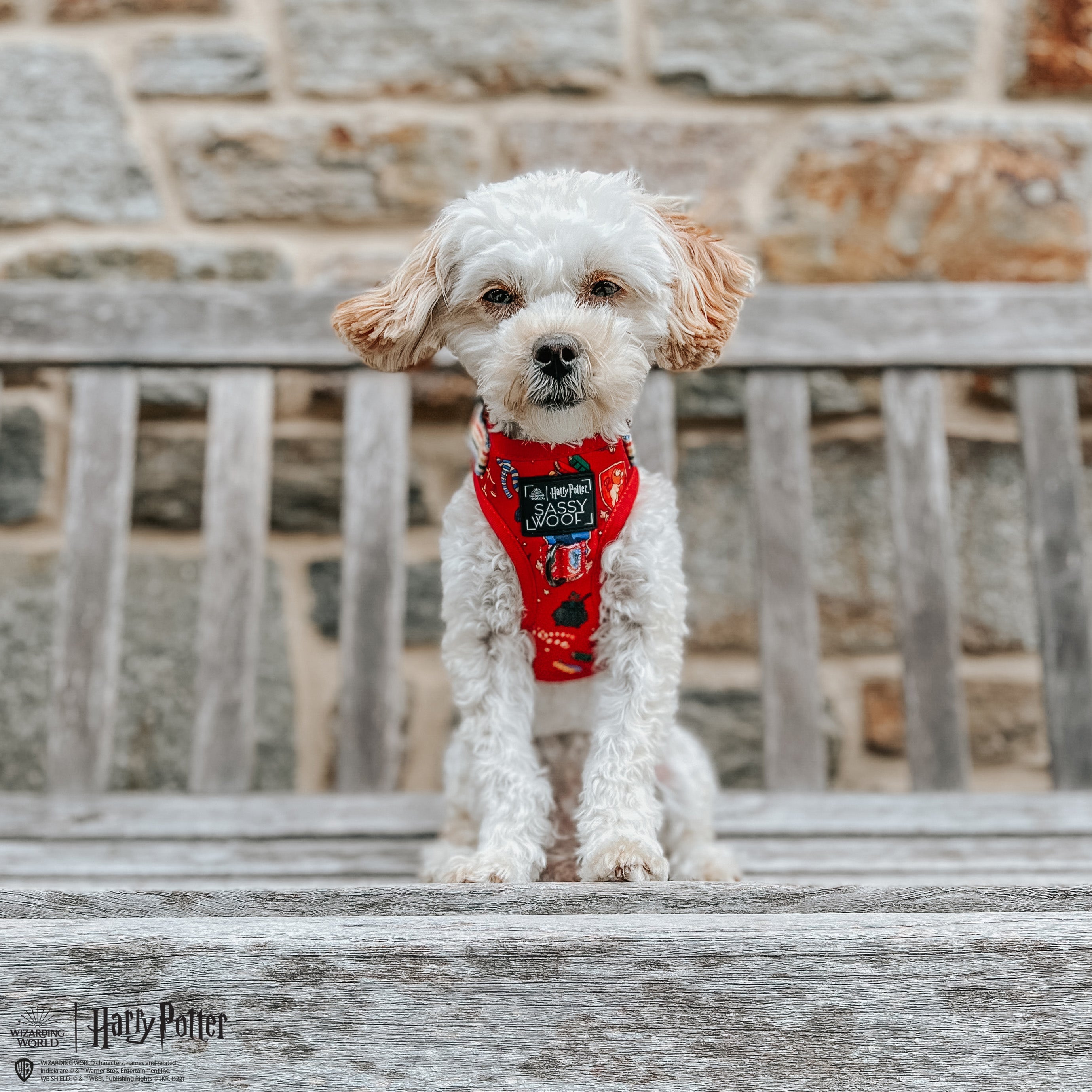 Dog Adjustable Harness - Harry Potter™