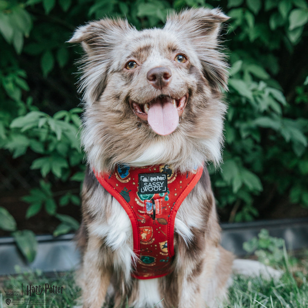 Dog Adjustable Harness - Harry Potter™