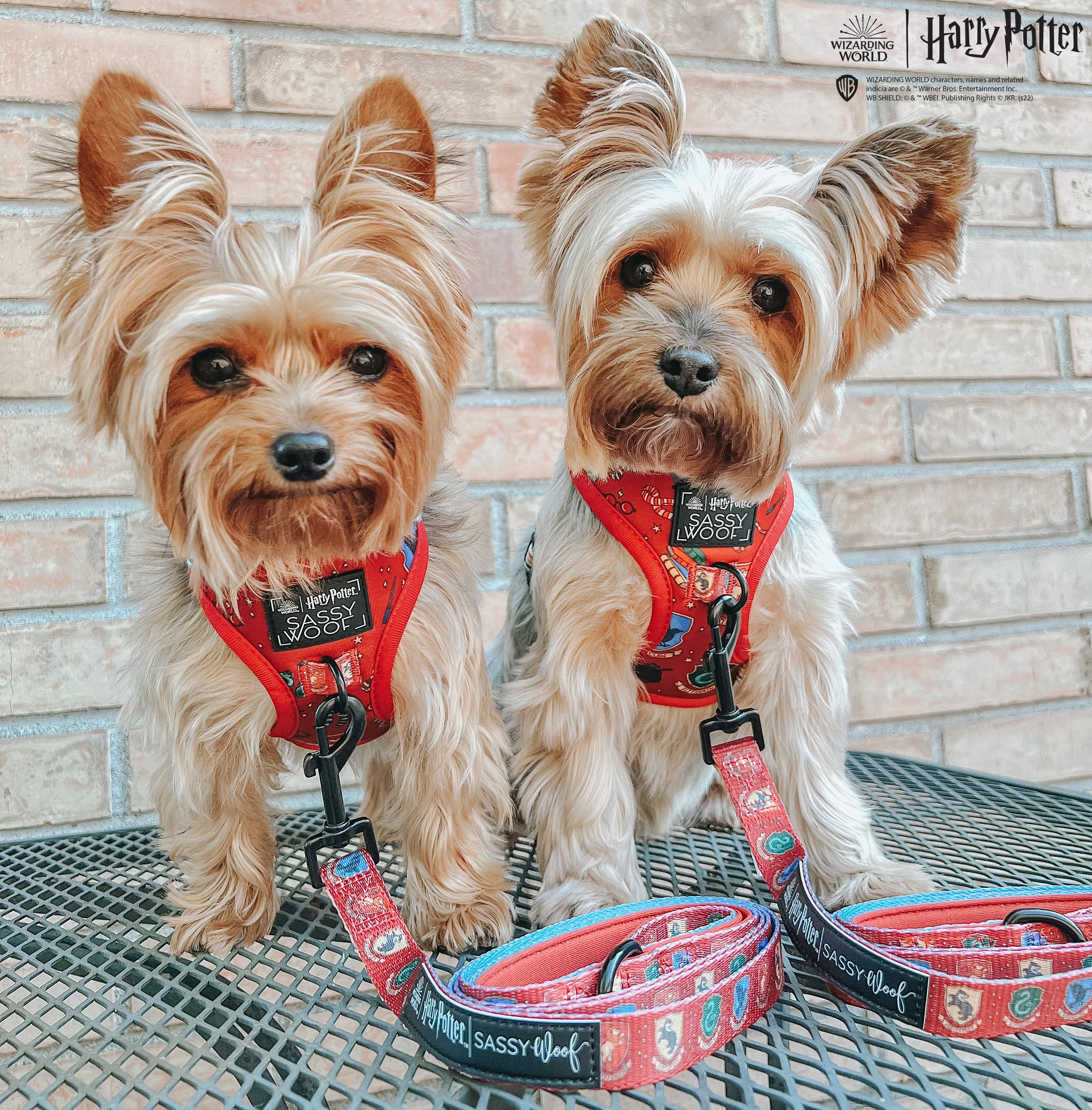 Dog Adjustable Harness - Harry Potter™