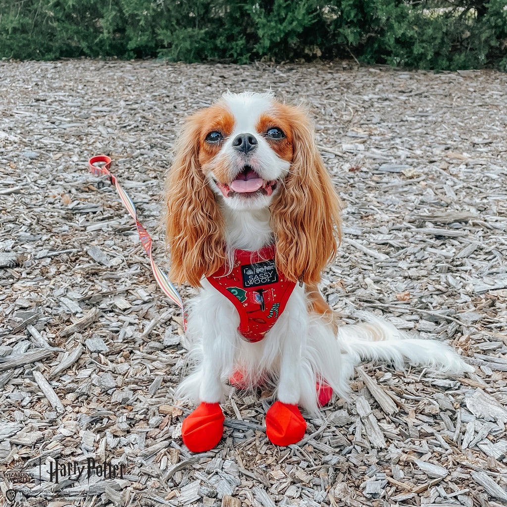 Dog Adjustable Harness - Harry Potter™