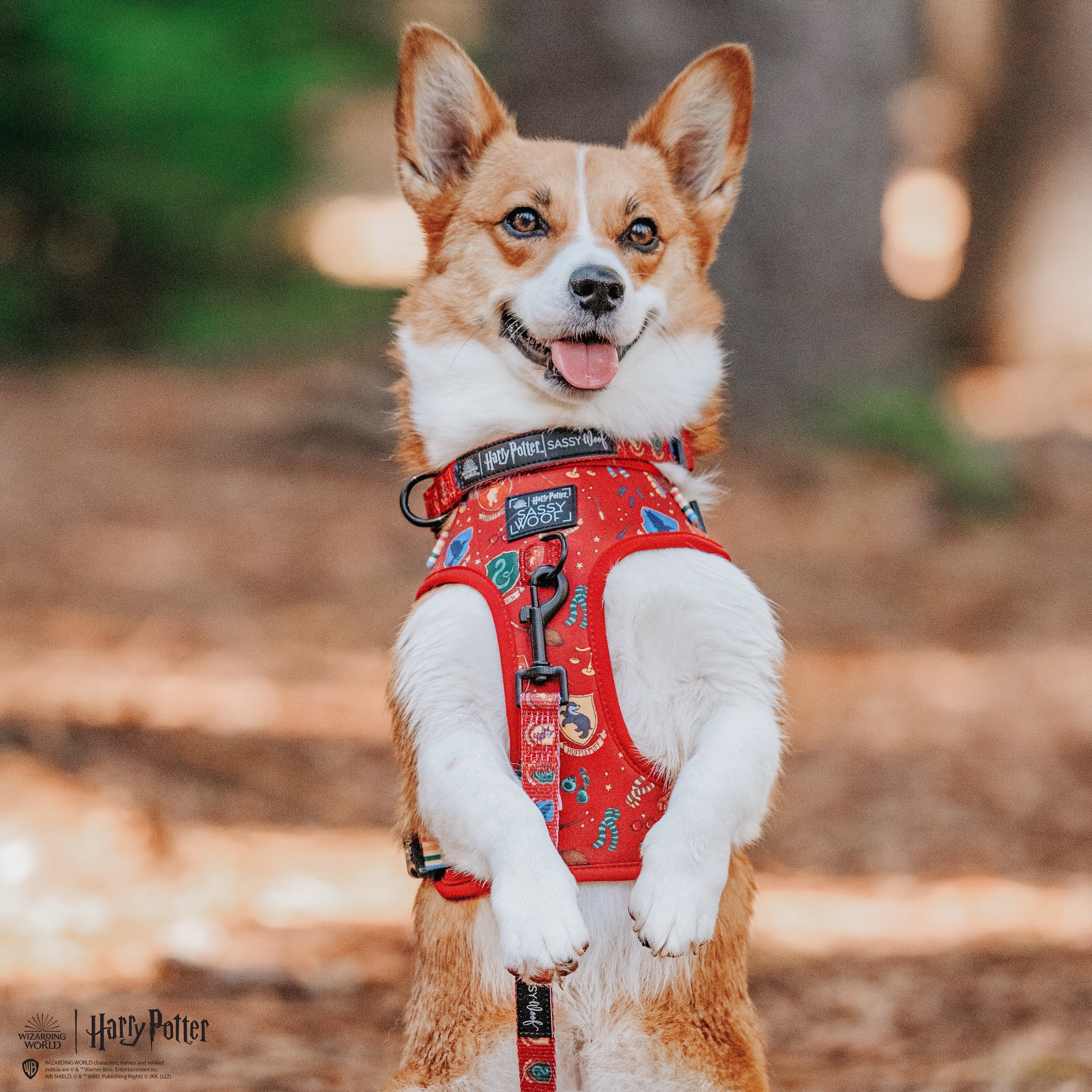 Dog Adjustable Harness - Harry Potter™