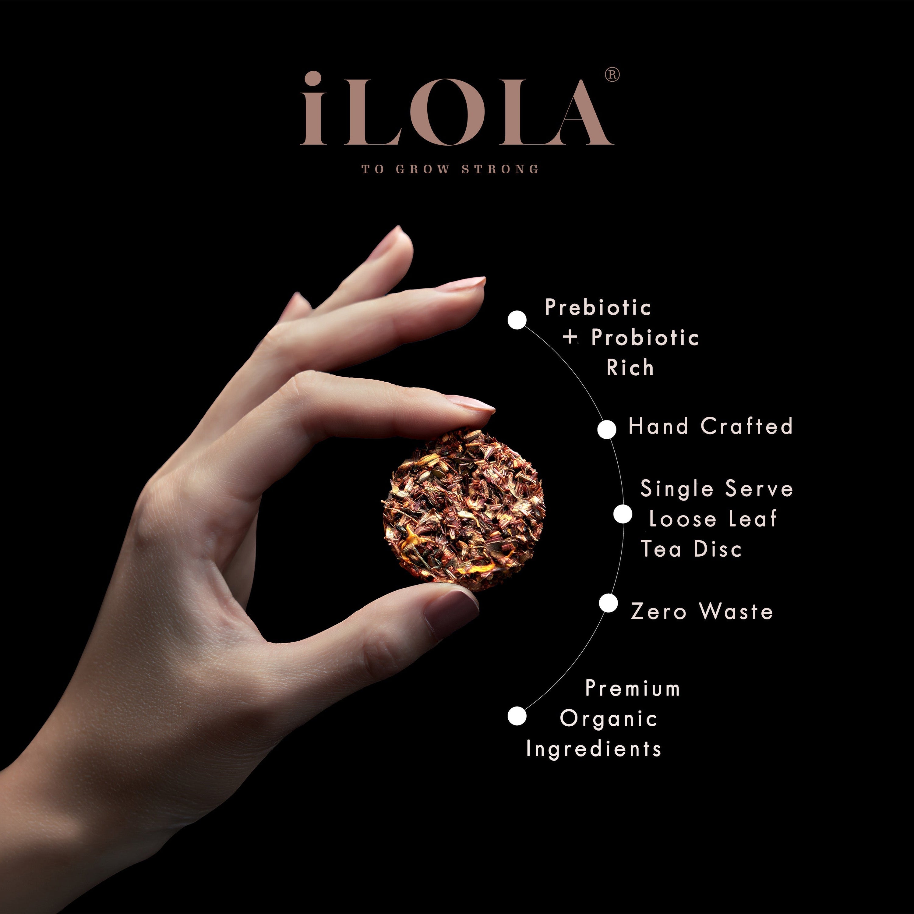 Immunity No. 02 | Loose Leaf Herbal Tea