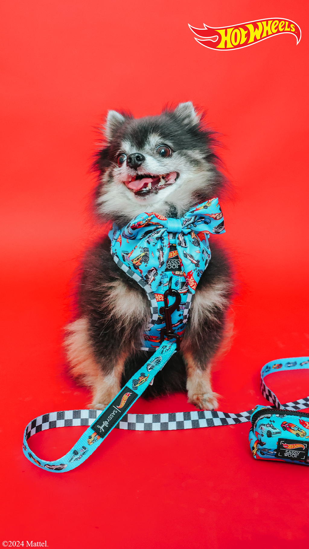 Dog Leash - Hot Wheels™