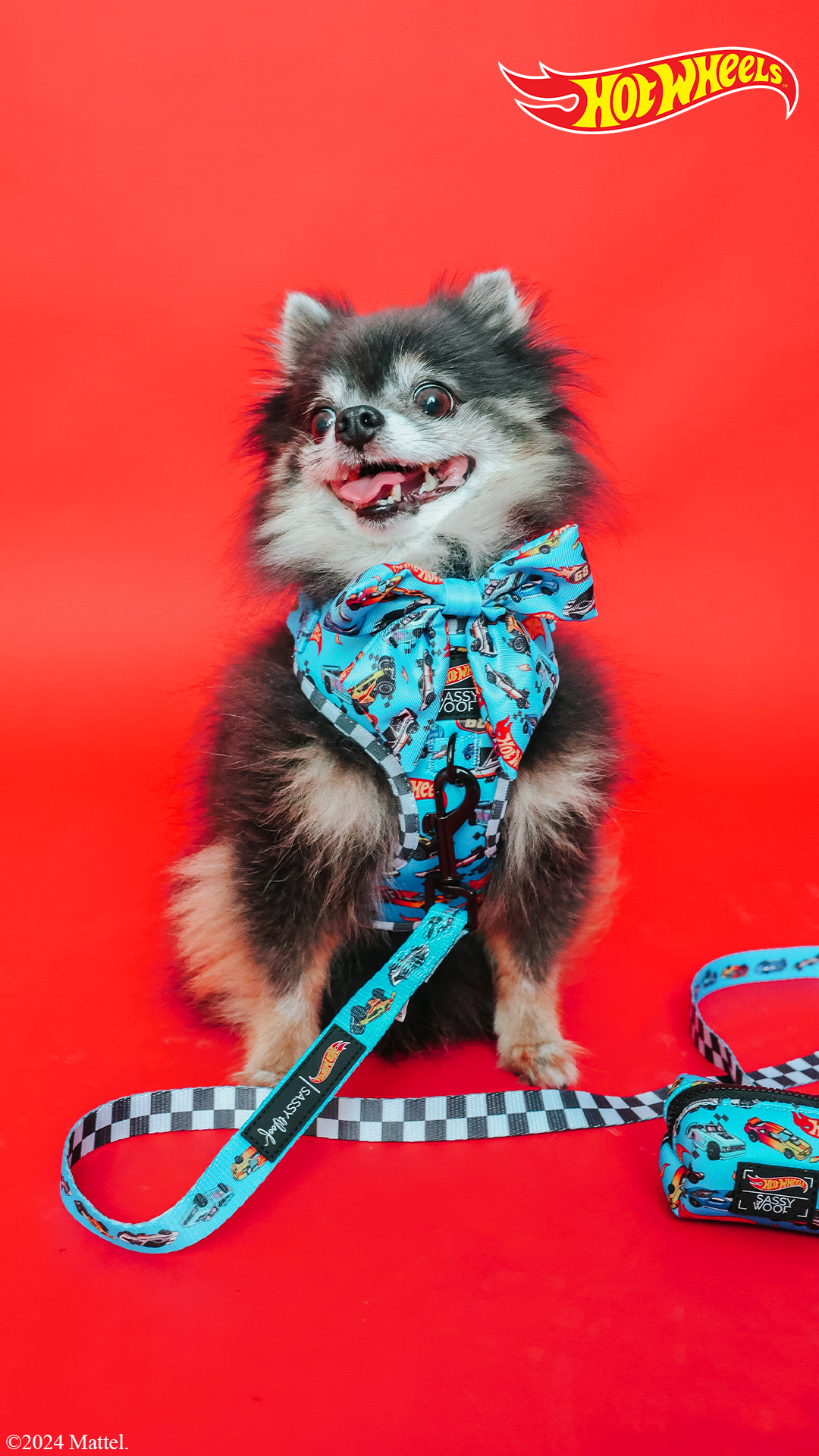 Dog Collar - Hot Wheels™