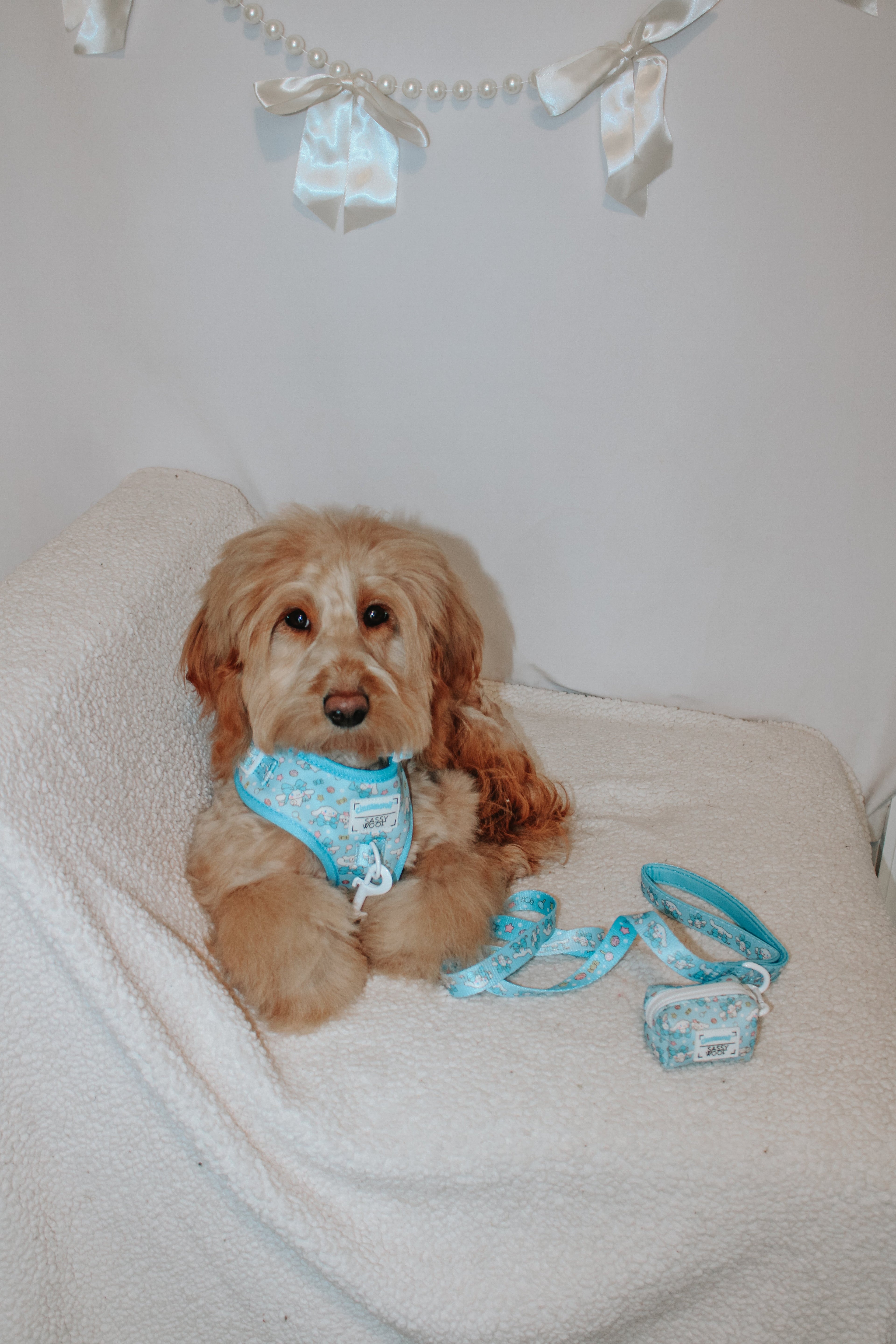 Dog Leash - Cinnamoroll™