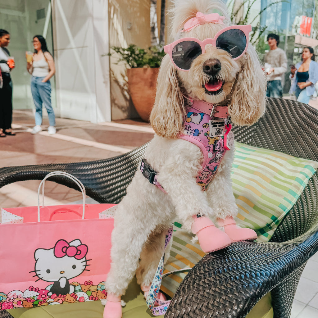 Dog Two Piece Bundle - Hello Kitty® & Friends Flower Festival