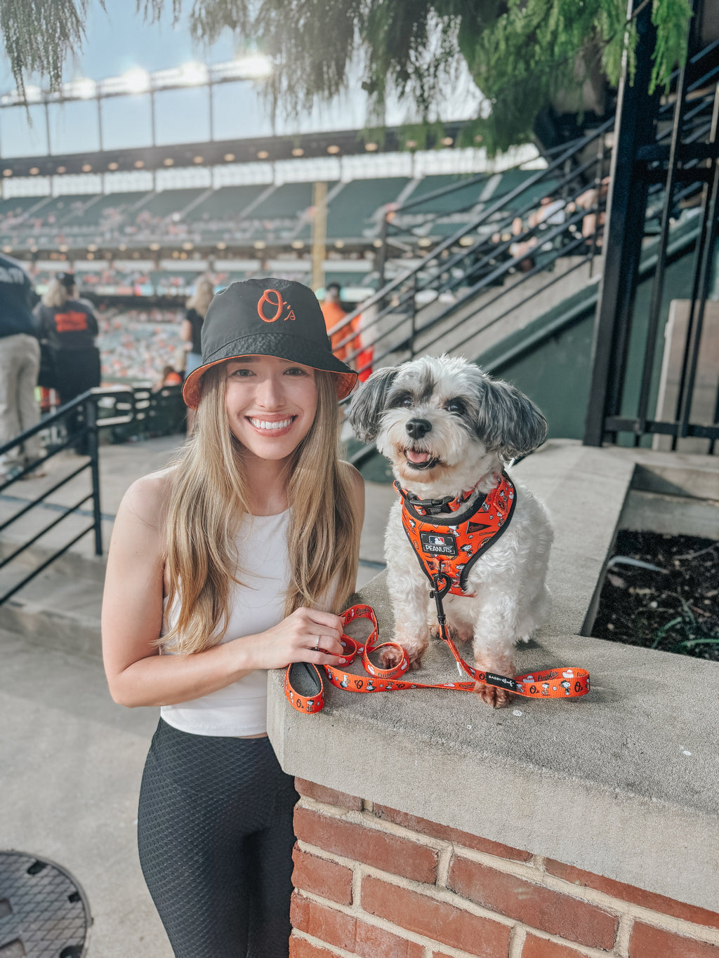 Dog Adjustable Harness - MLB™ x Peanuts™ Baltimore Orioles™