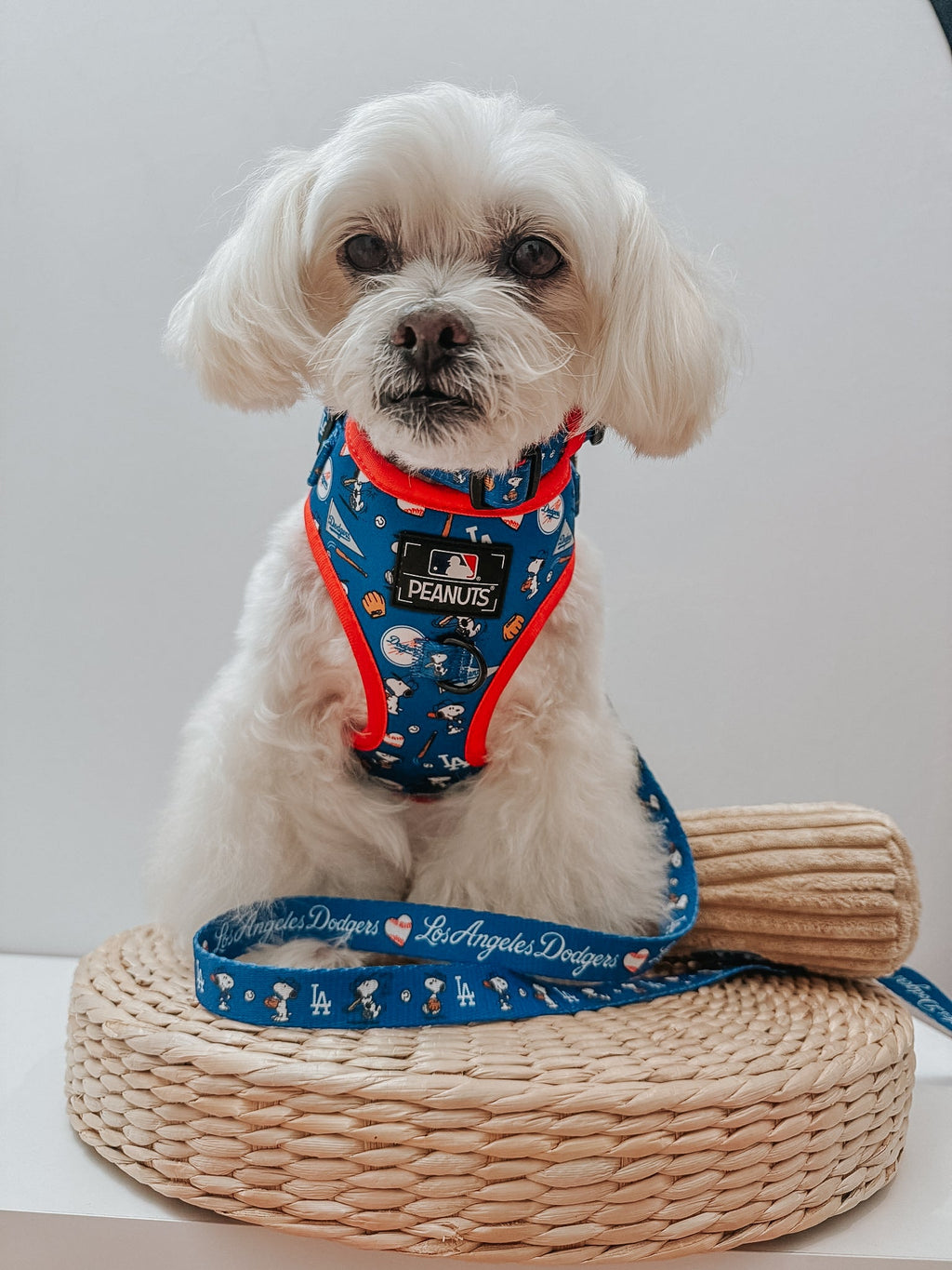 Dog Collar - MLB™ x Peanuts™ Los Angeles Dodgers™
