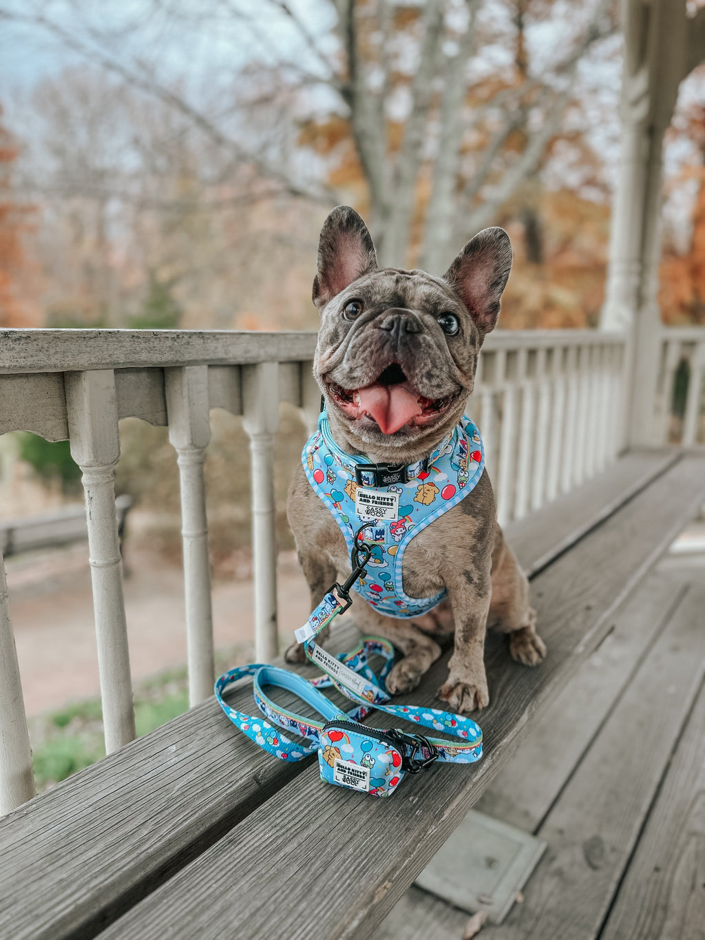 Dog Collar - Hello Kitty® & Friends In the Sky