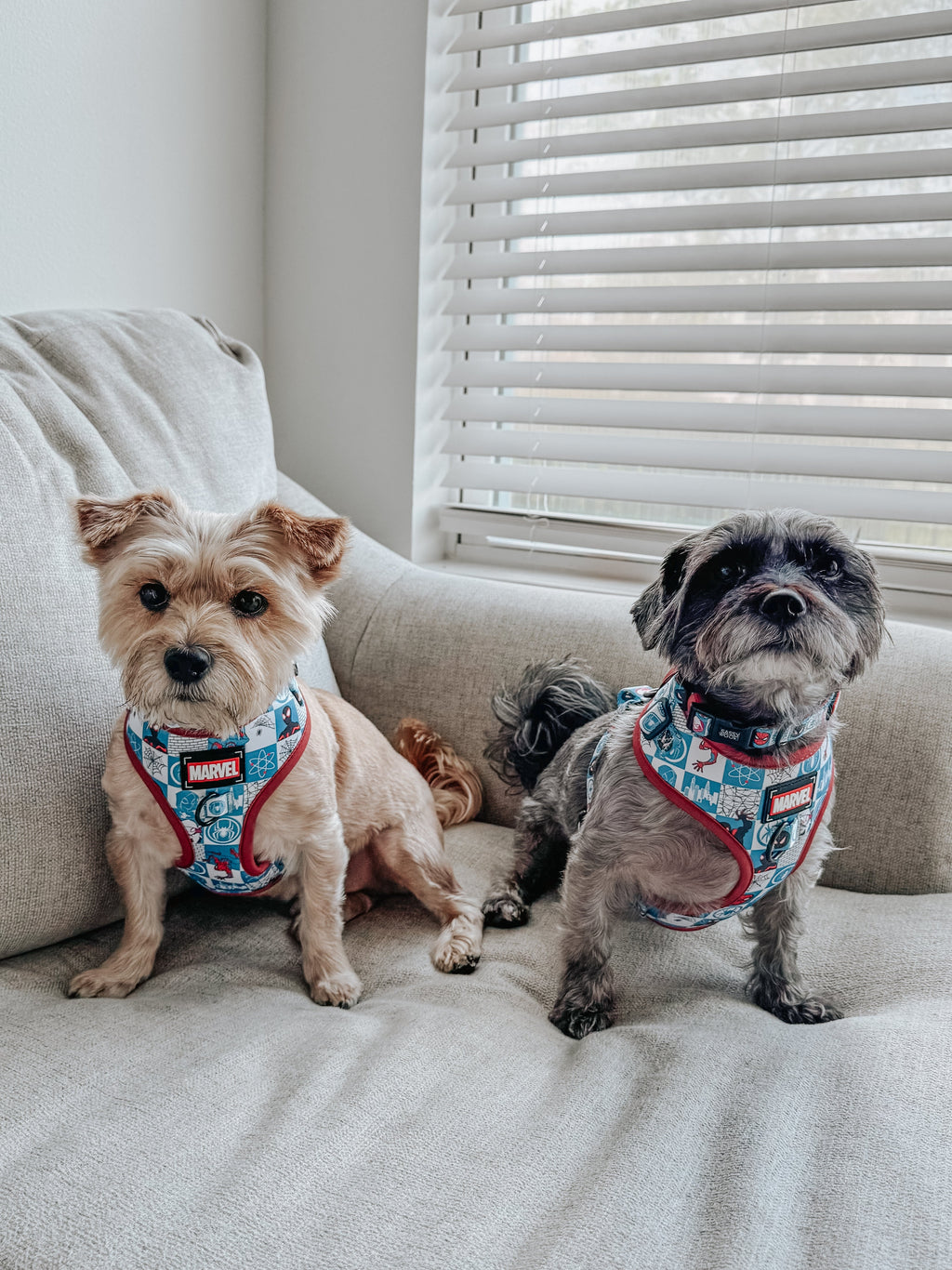 Dog Collar - Marvel’s Spider-Man