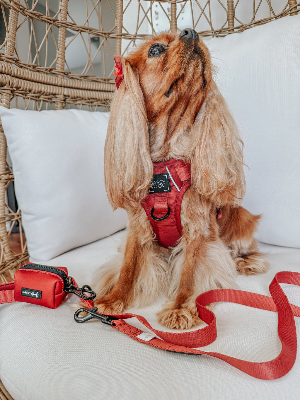 Dog Step-in Harness - Burgundy