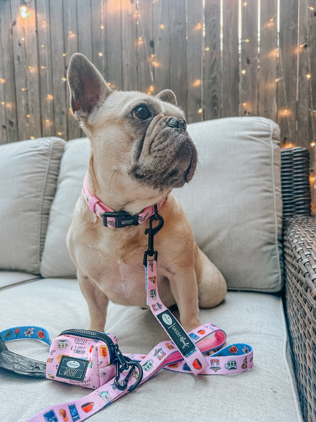 Dog Collar - Gilmore Girls™