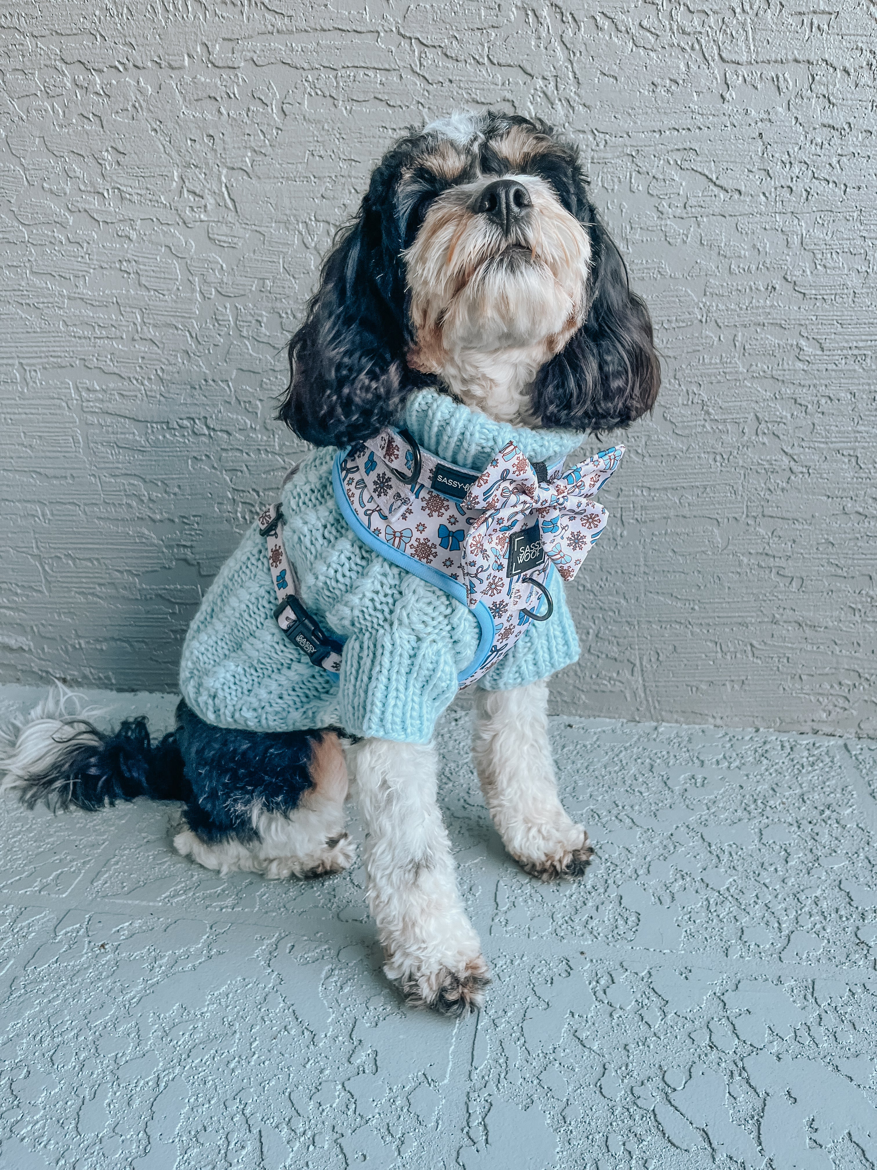 Dog Collar - Let it Bow