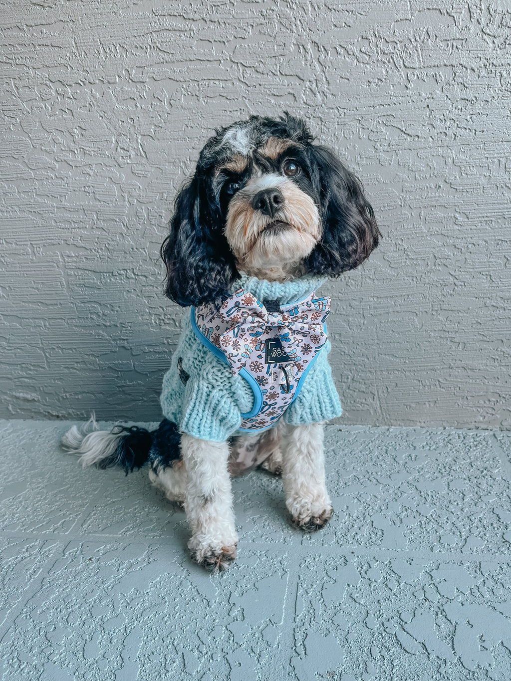 Dog Adjustable Harness - Let it Bow