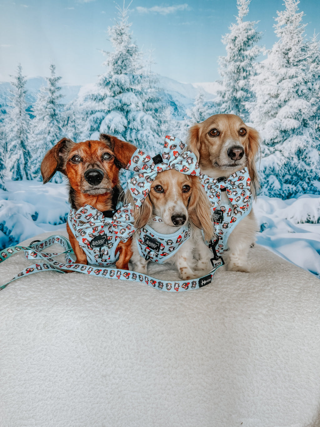 Dog Adjustable Harness - Winter Waddleland