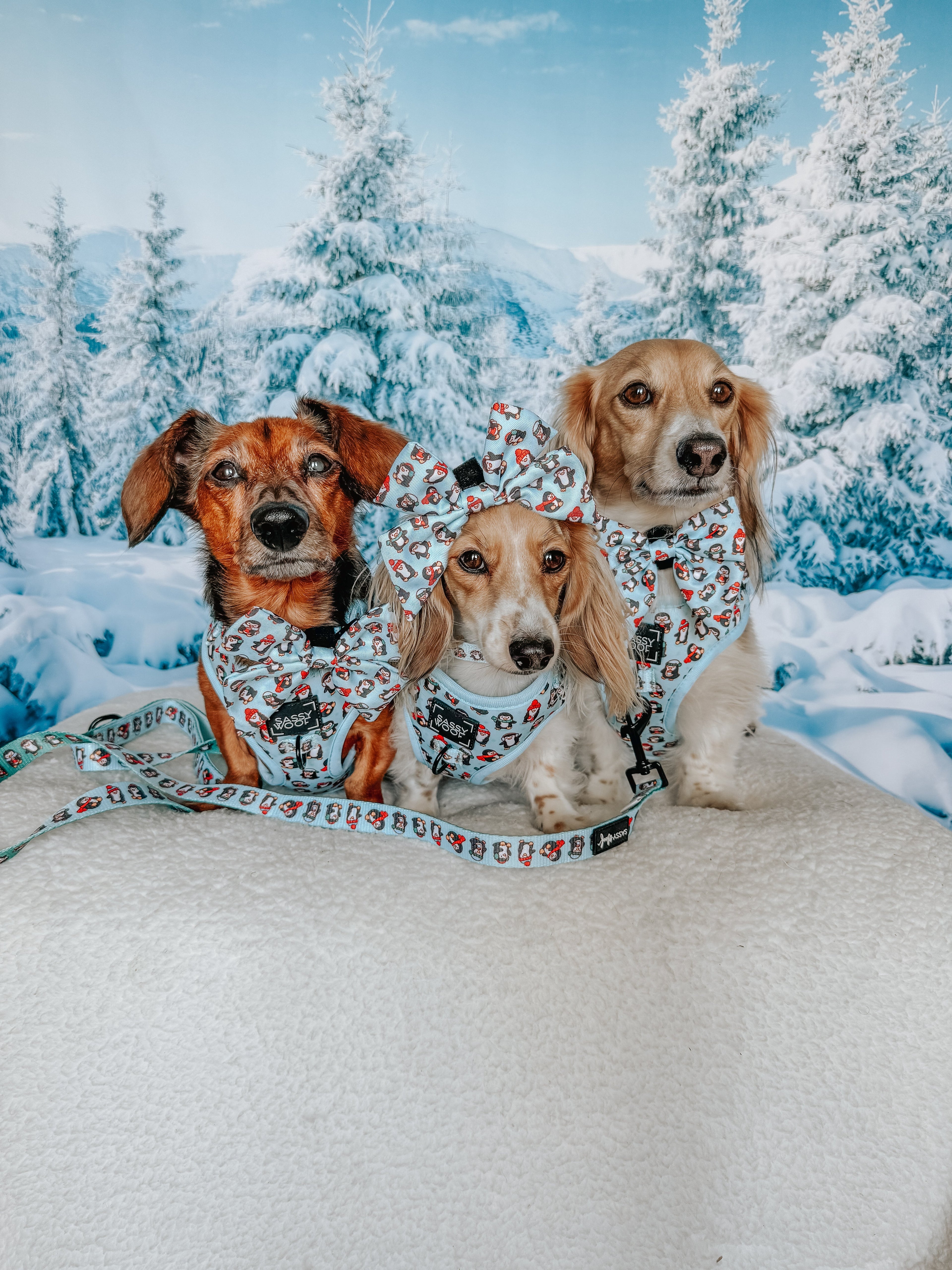 Dog Adjustable Harness - Winter Waddleland