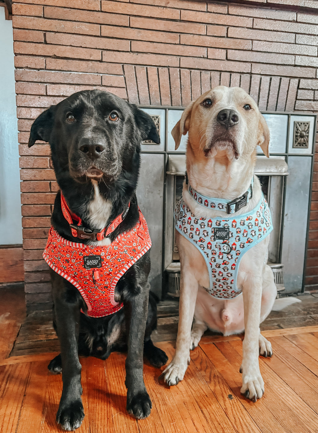 Dog Adjustable Harness - Winter Waddleland