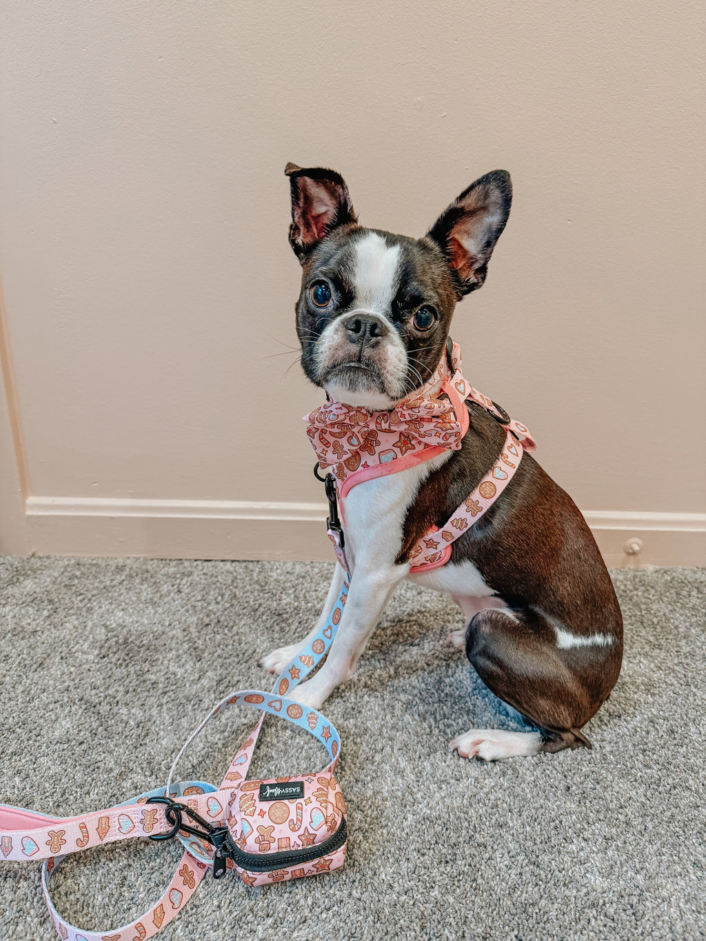 Dog Adjustable Harness - Dough My Goodness