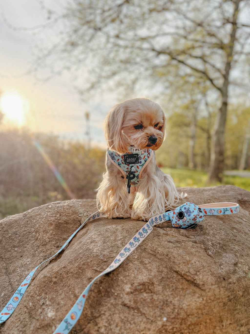 Dog Leash - Disney and Pixar's Toy Story