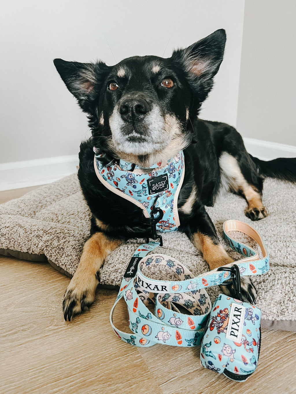 Dog Leash - Disney and Pixar's Toy Story
