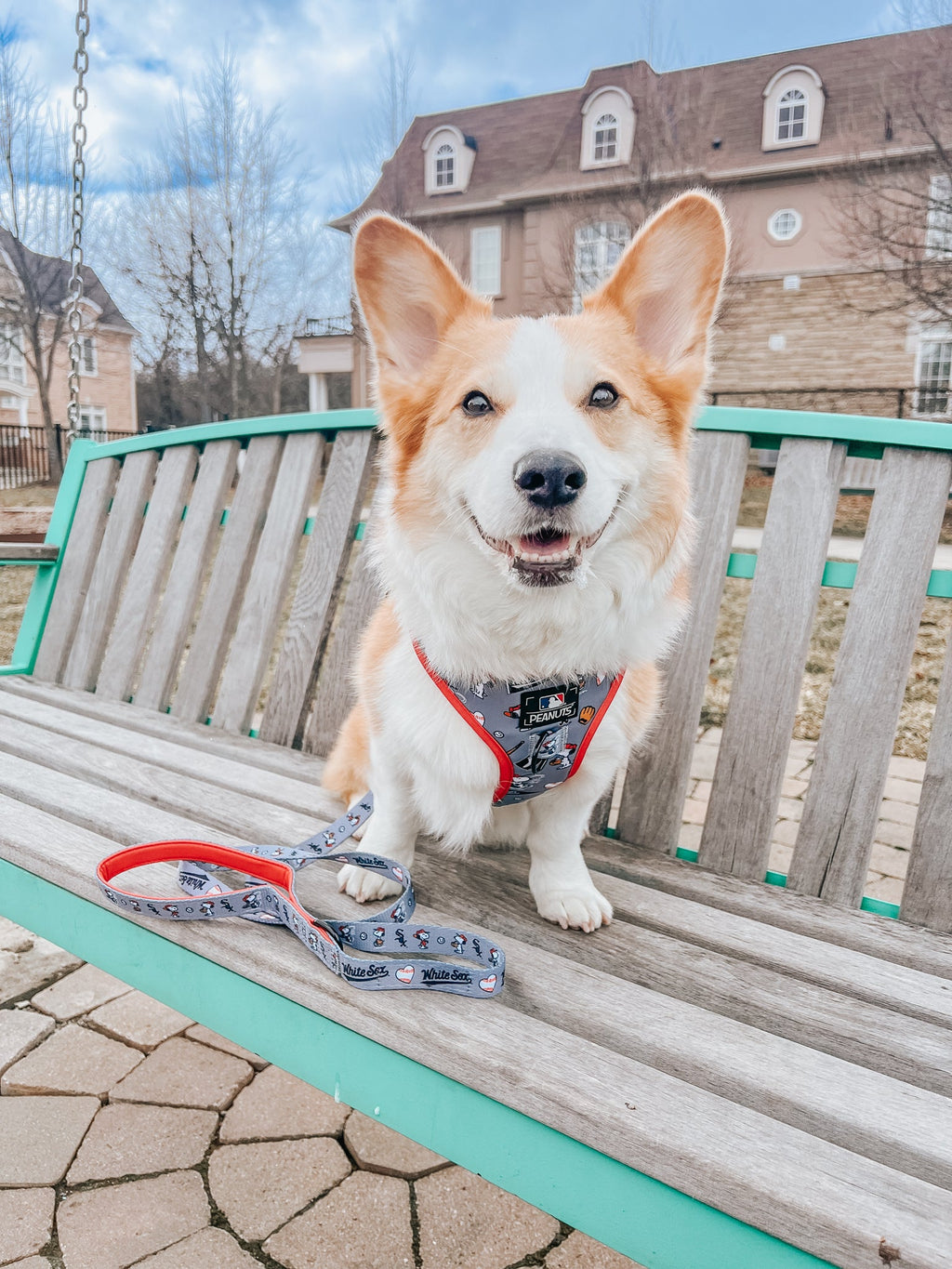 Dog Leash - MLB™ x Peanuts™ Chicago White Sox™