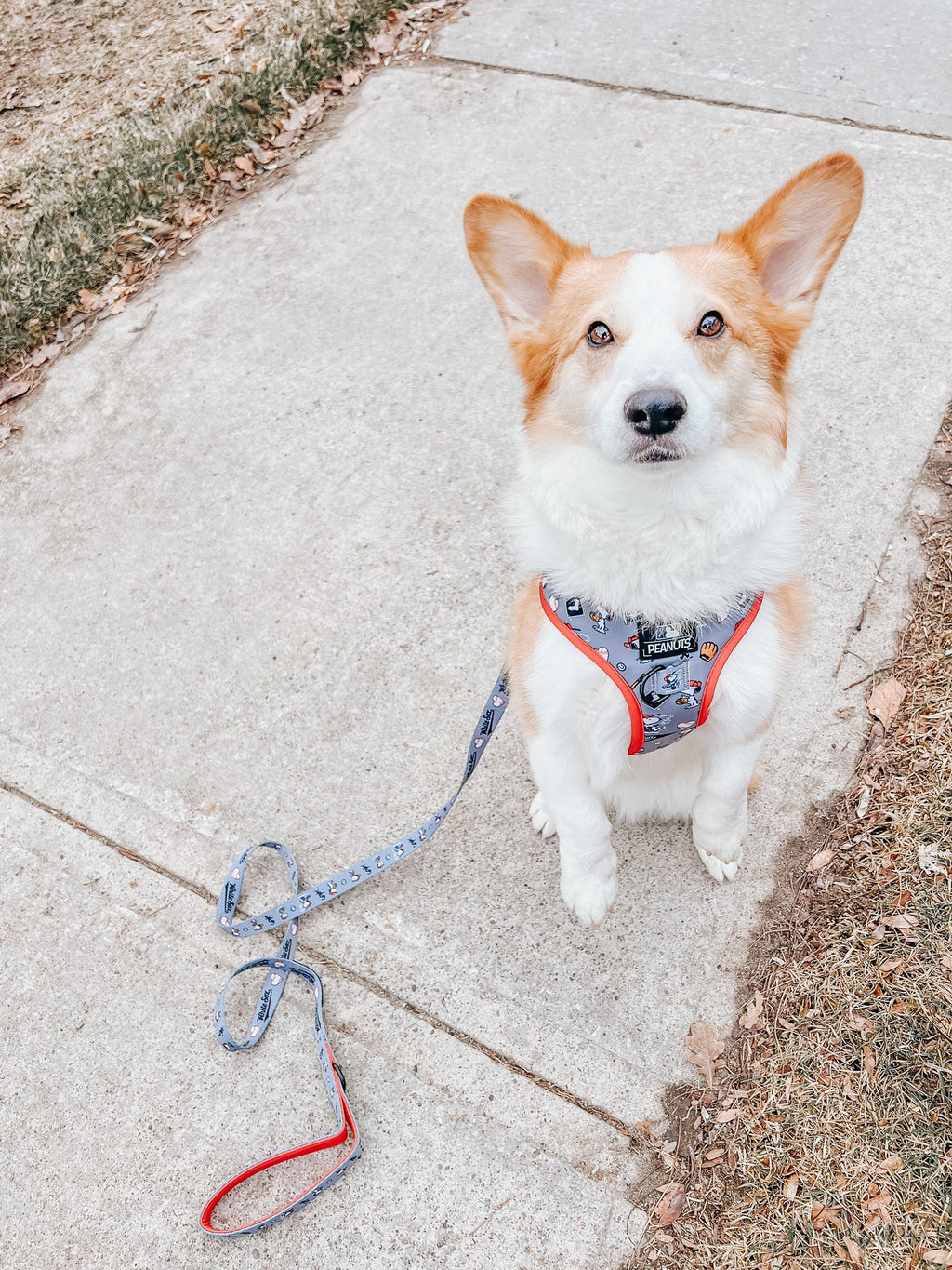 Dog Leash - MLB™ x Peanuts™ Chicago White Sox™