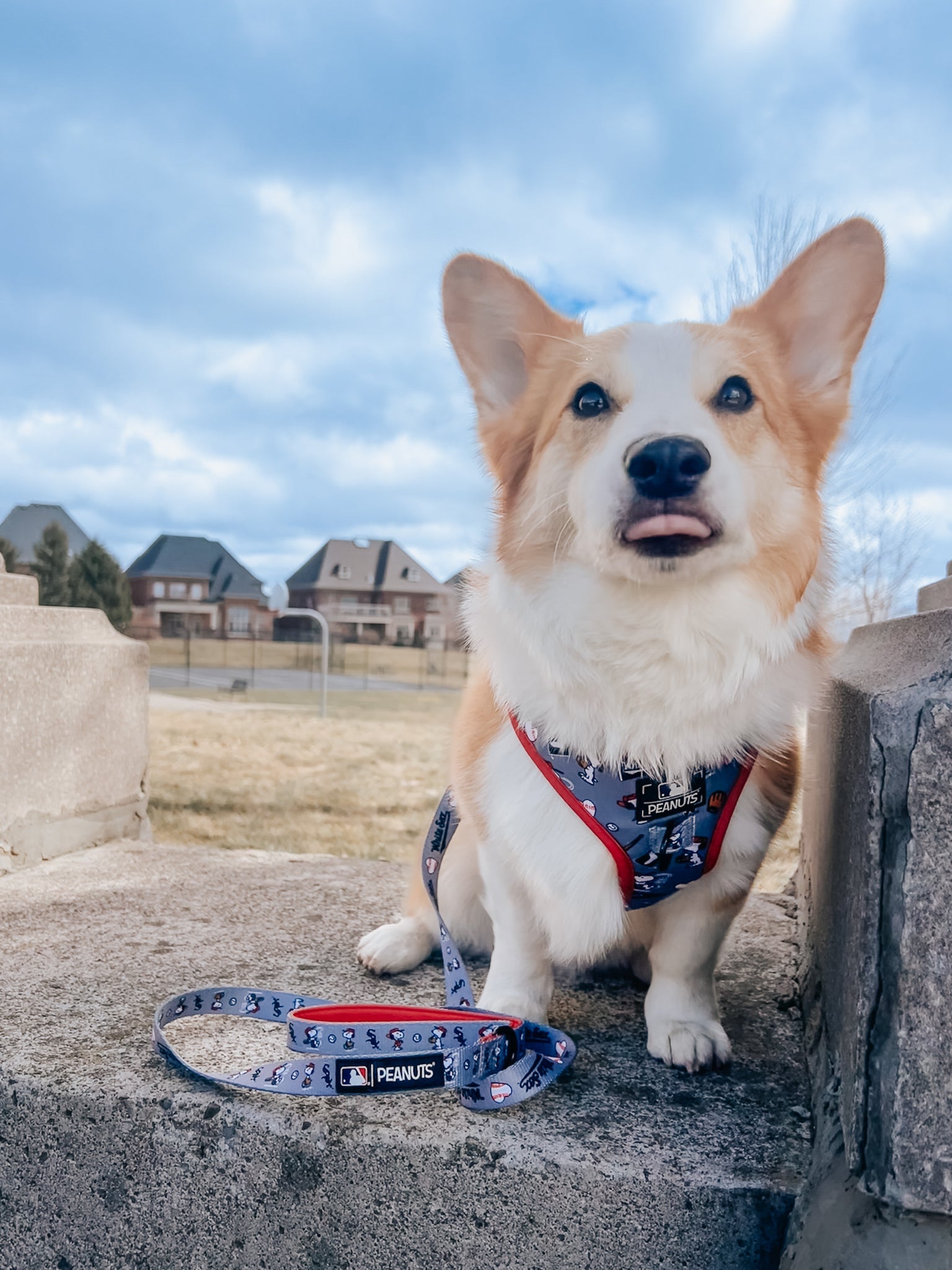 Dog Adjustable Harness - MLB™ x Peanuts™ Chicago White Sox™