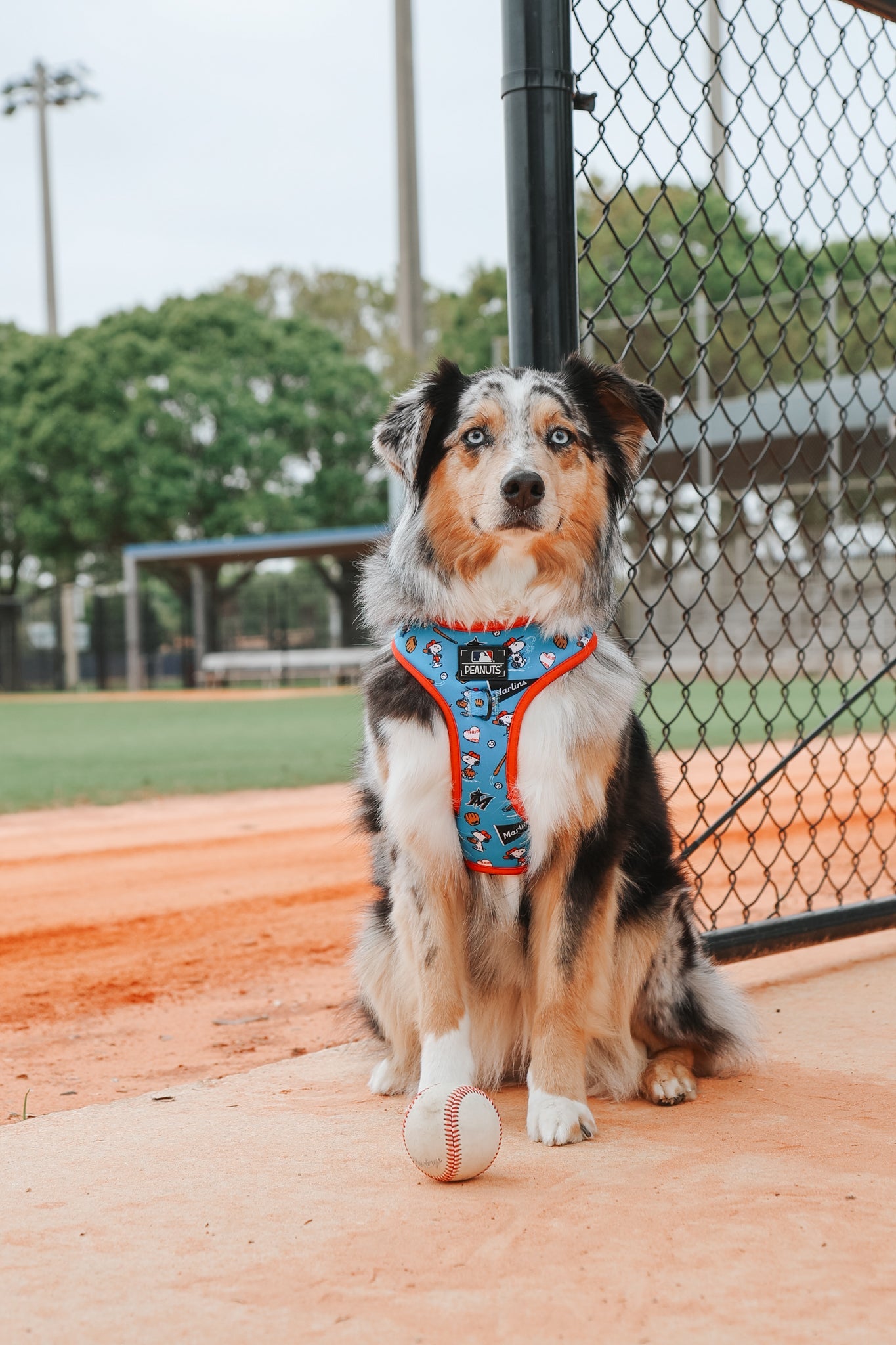 Dog Adjustable Harness - MLB™ x Peanuts™ Miami Marlins™