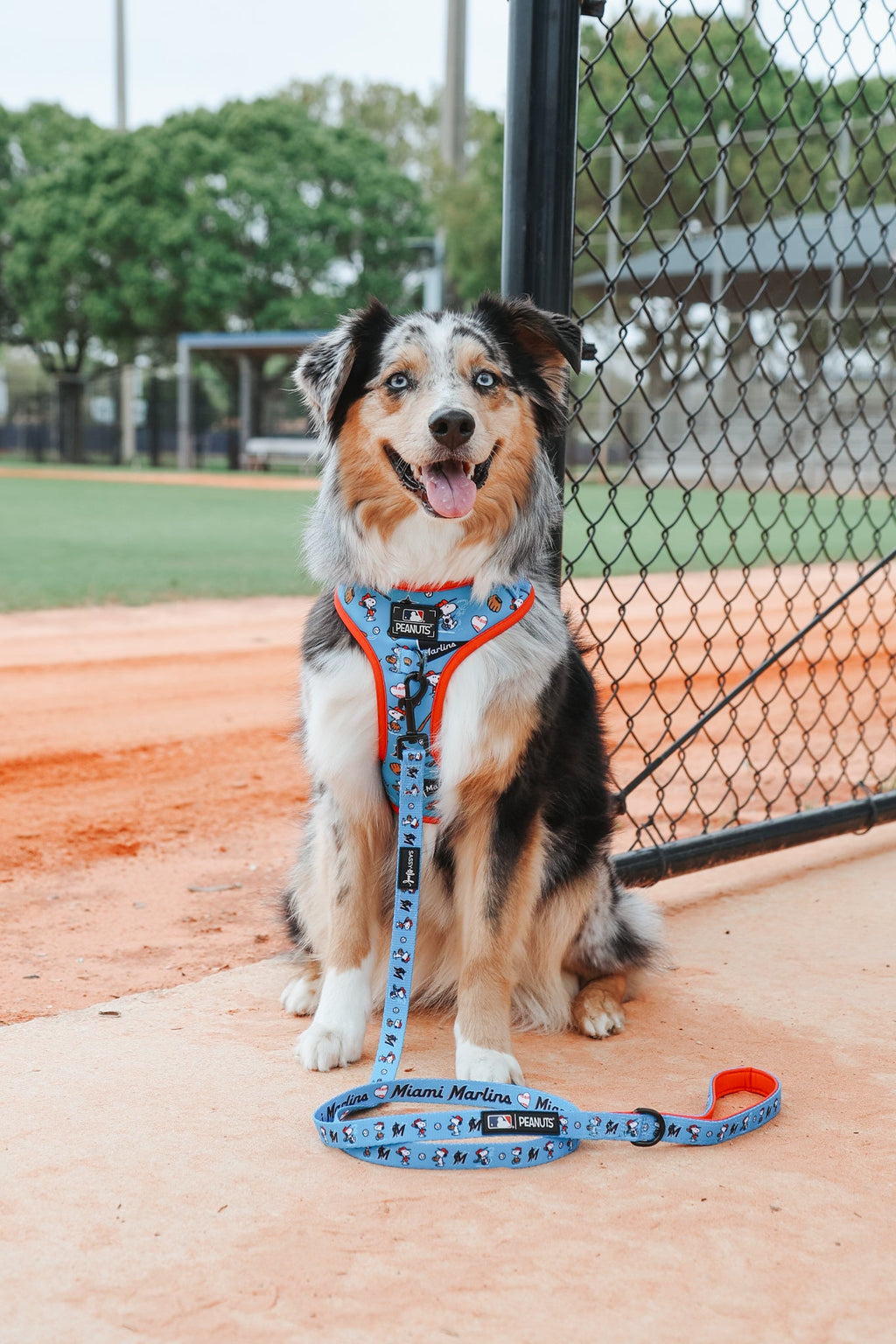 Dog Adjustable Harness - MLB™ x Peanuts™ Miami Marlins™