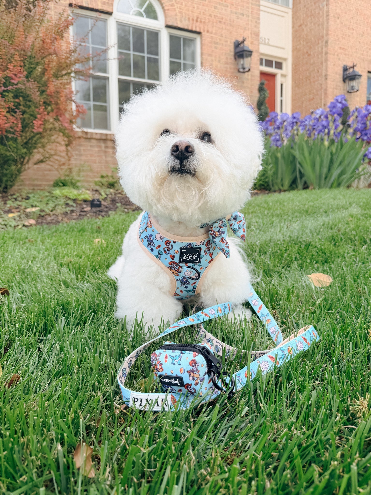 Dog Leash - Disney and Pixar's Toy Story