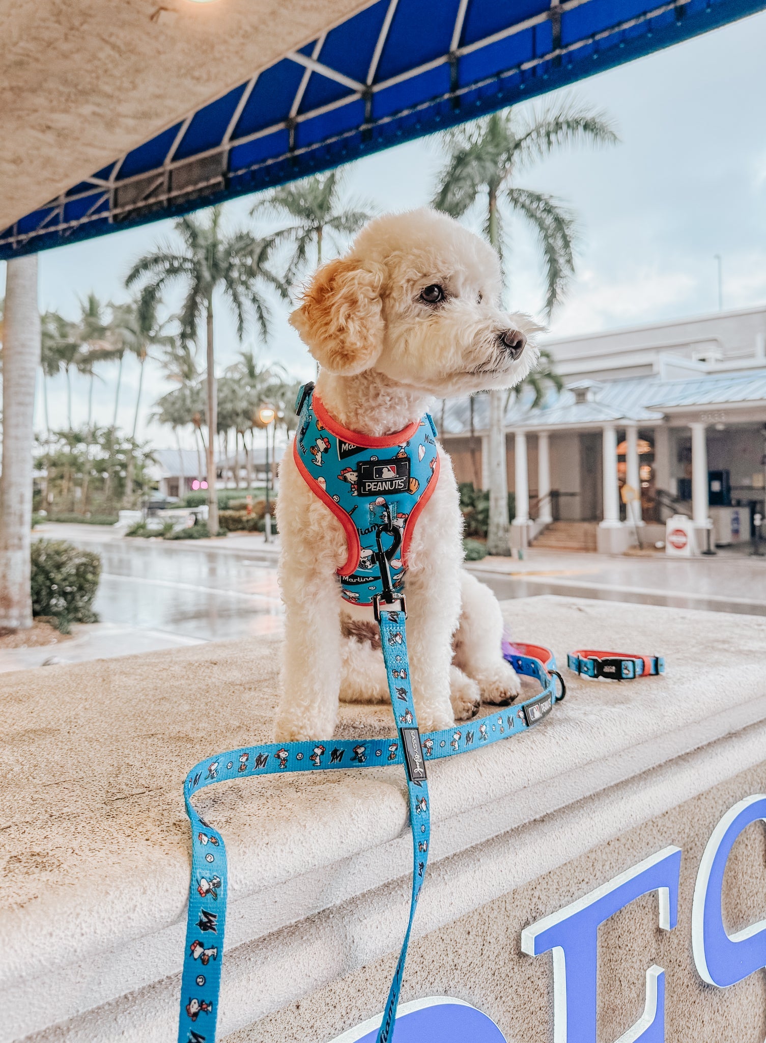 Dog Adjustable Harness - MLB™ x Peanuts™ Miami Marlins™