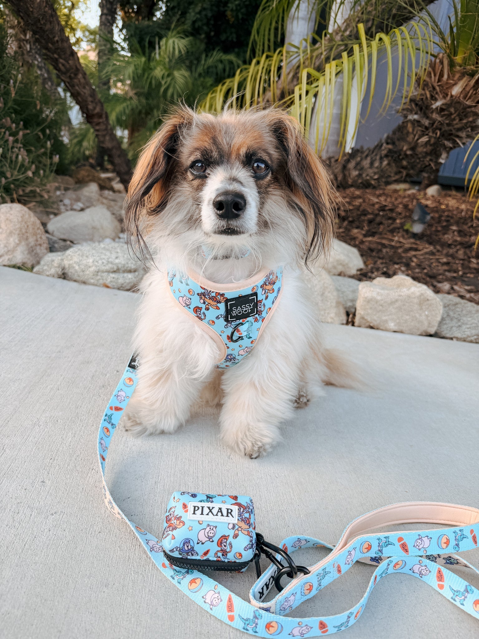 Dog Leash - Disney and Pixar's Toy Story
