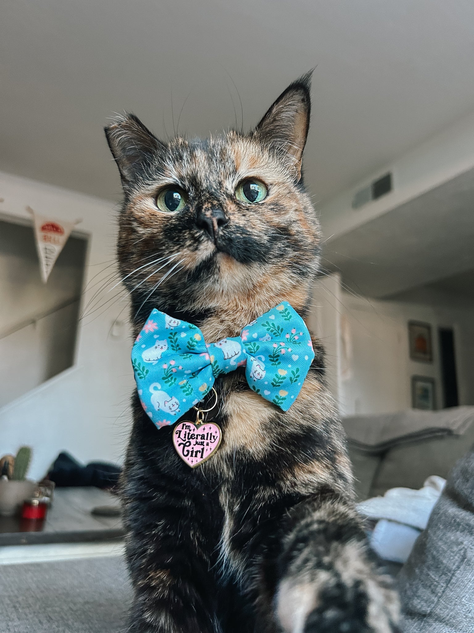 Collar Tag - Just a Girl