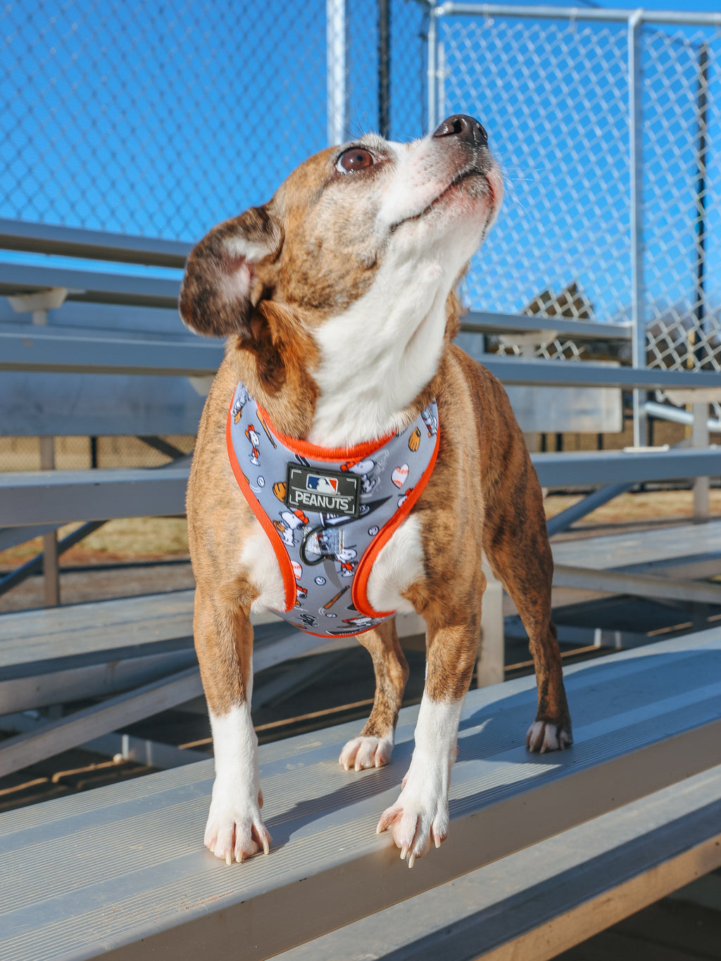 Dog Adjustable Harness - MLB™ x Peanuts™ Chicago White Sox™