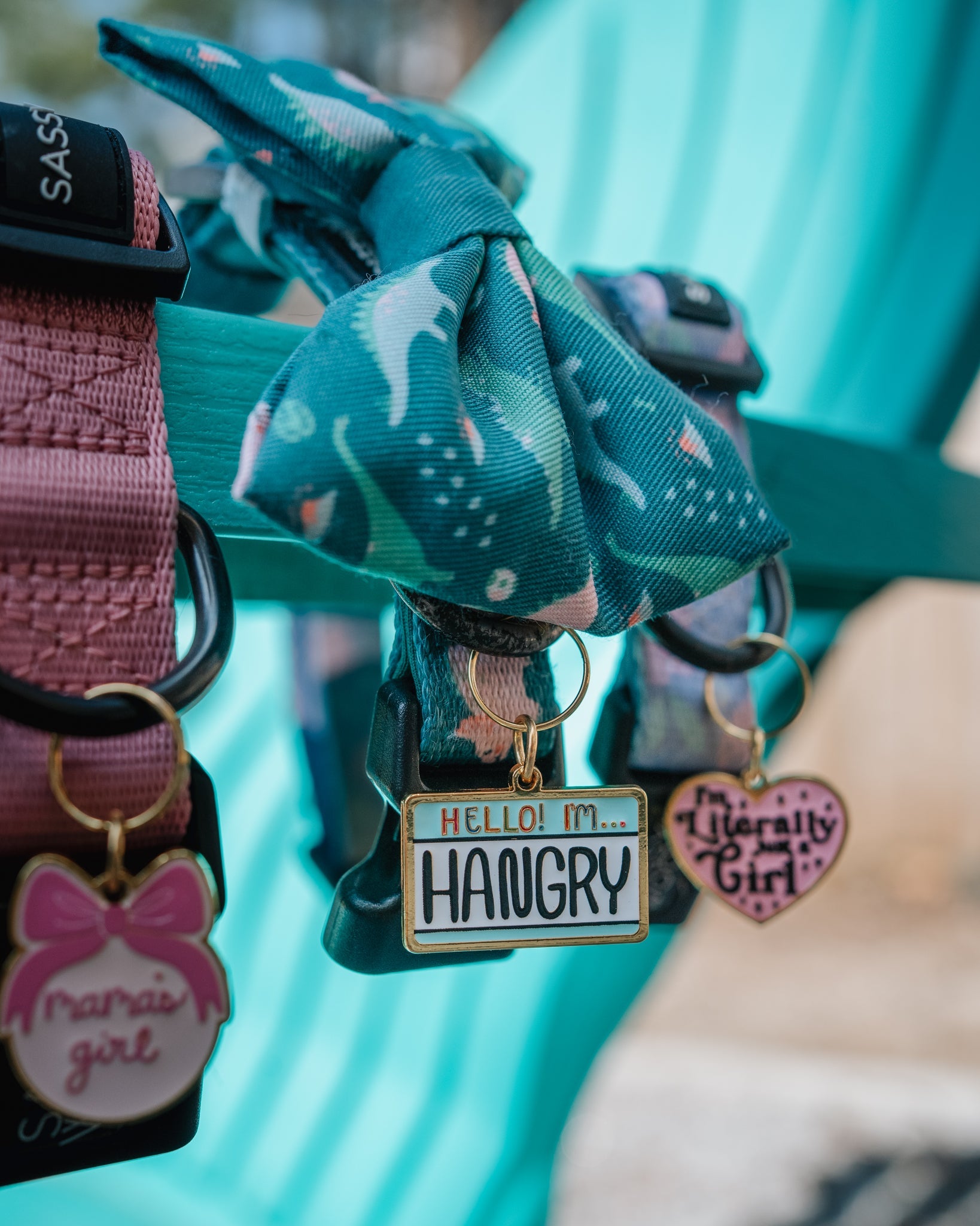 Collar Tag - Hello I'm Hangry