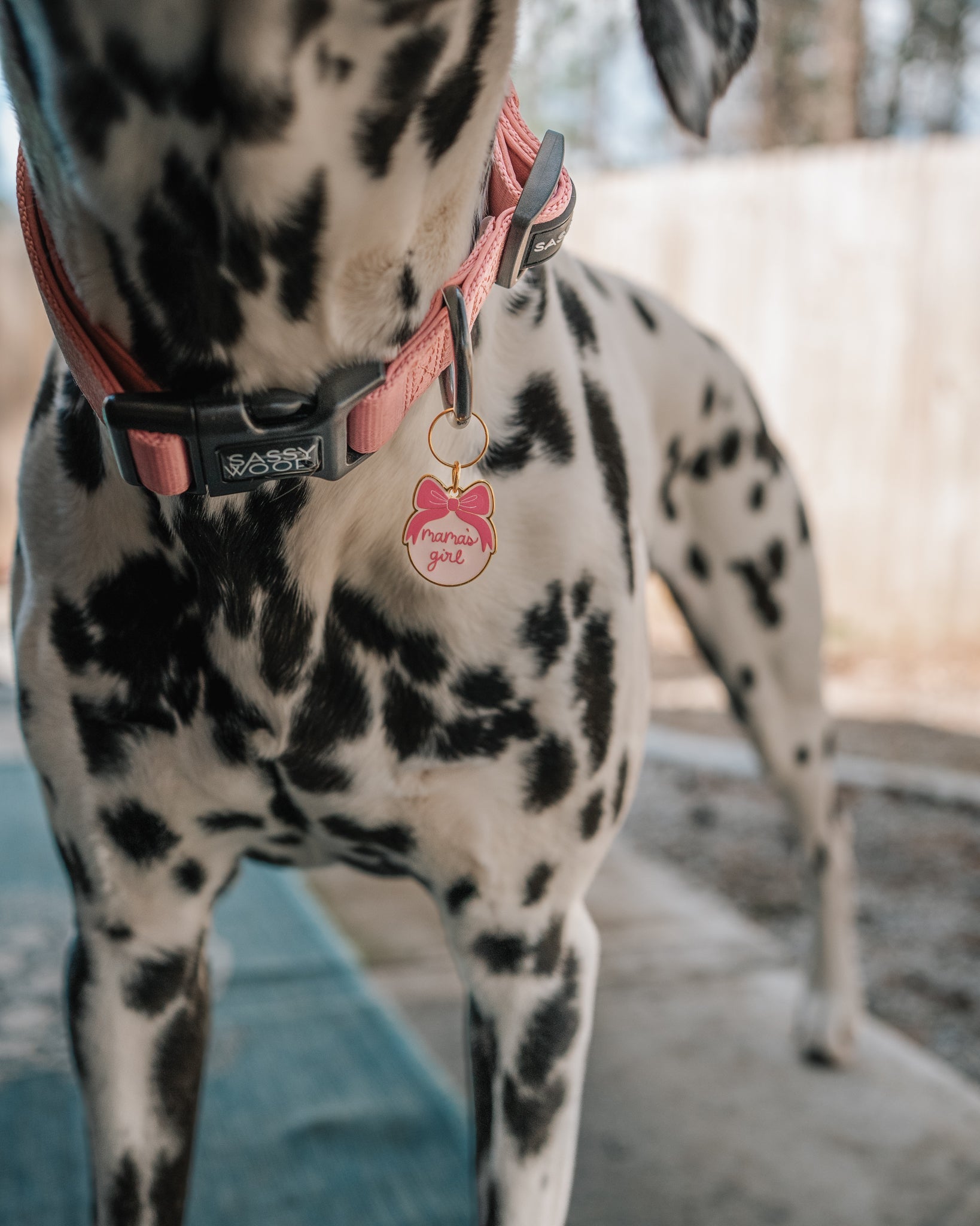 Collar Tag - Mama's Girl