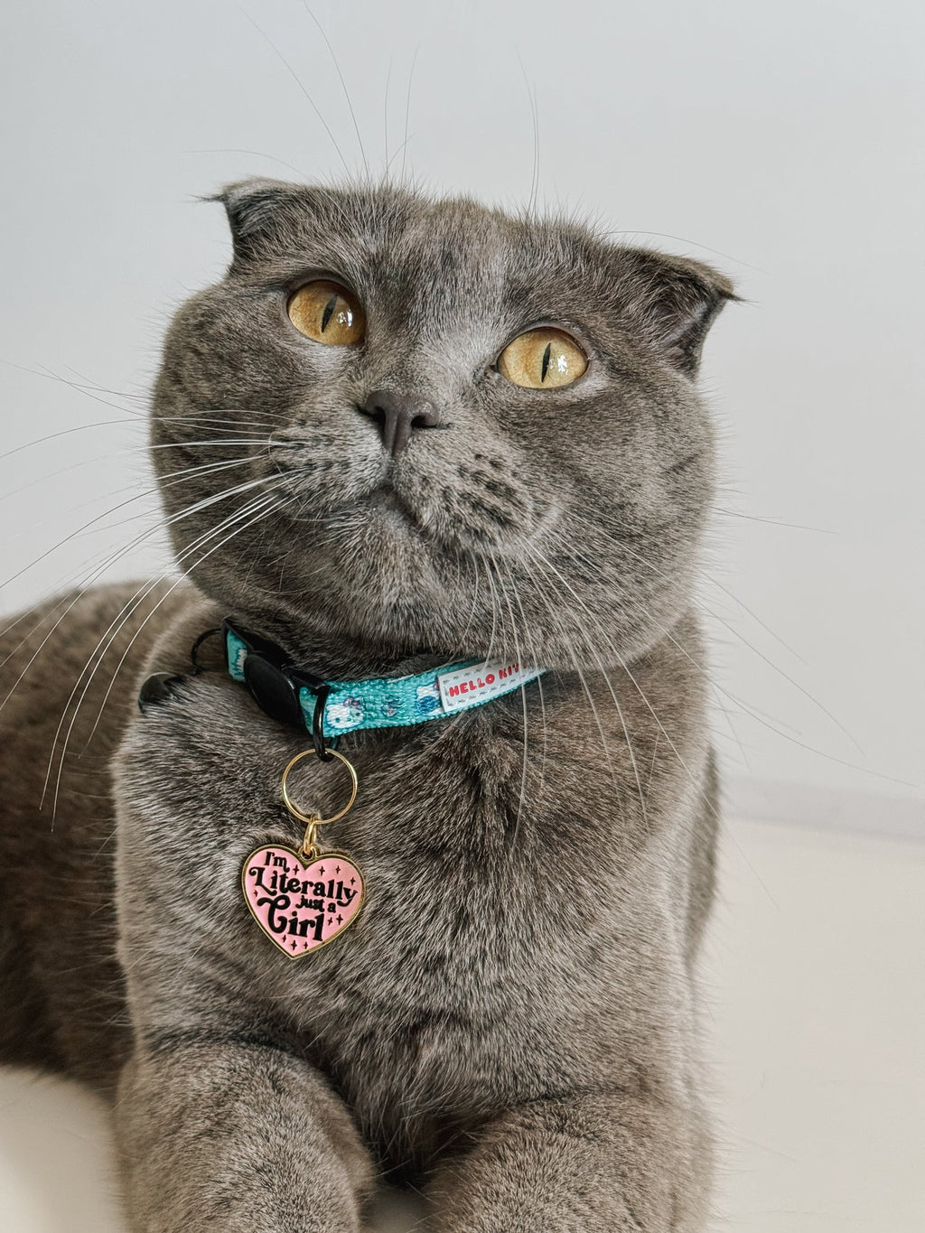 Collar Tag - Just a Girl