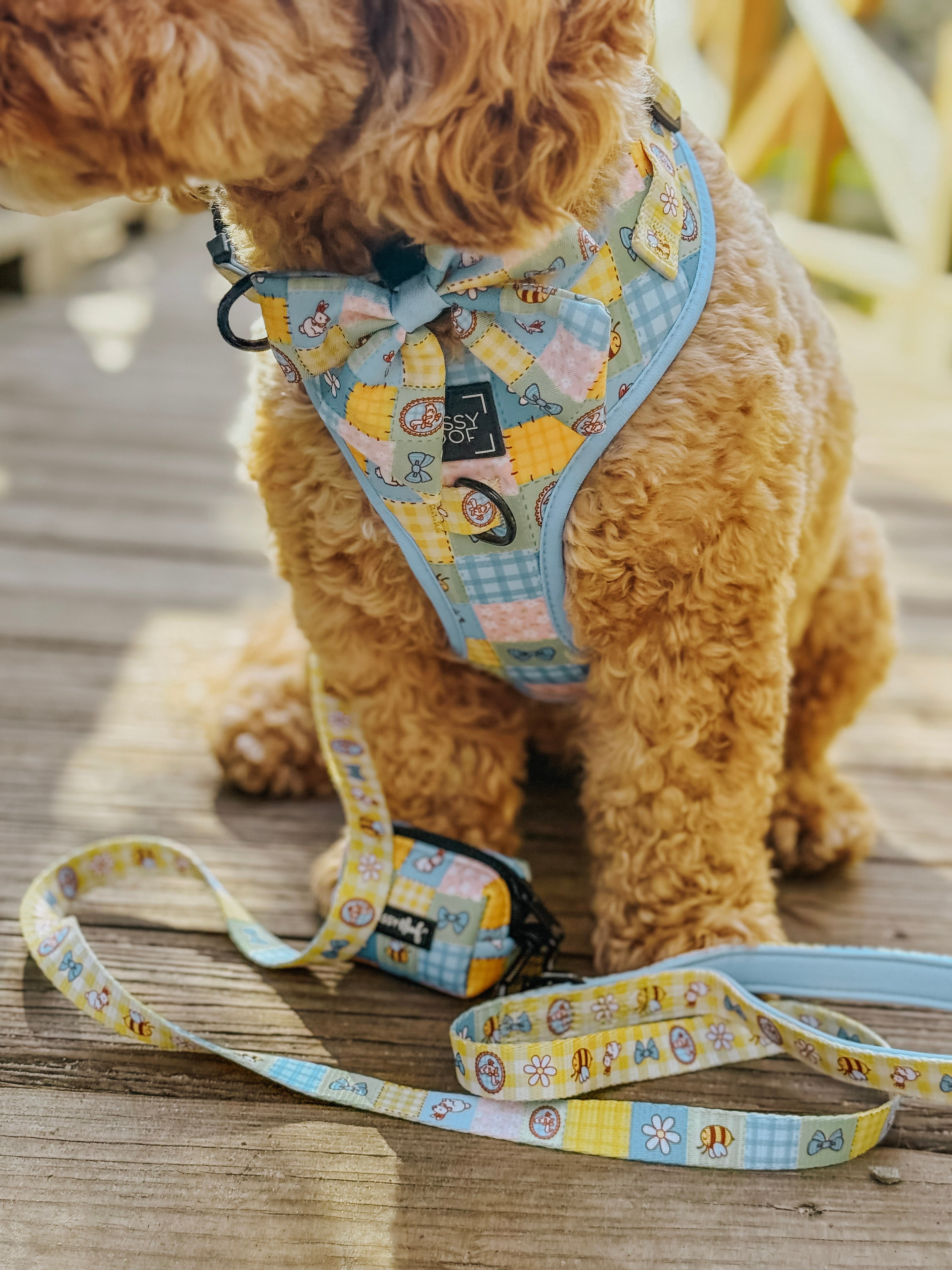 Dog Leash - Patch Perfect