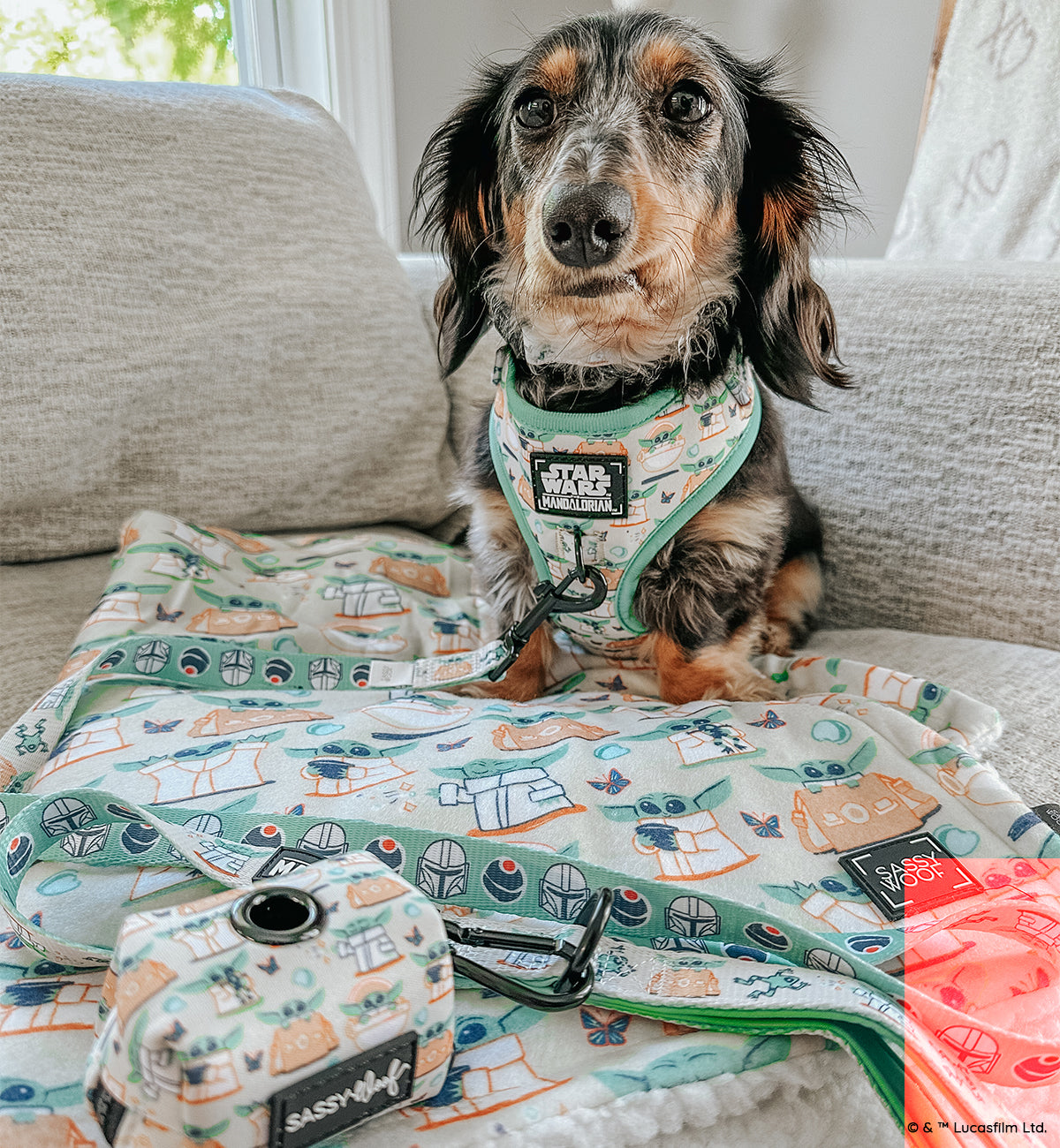 Dog Adjustable Harness - STAR WARS™ The Child™