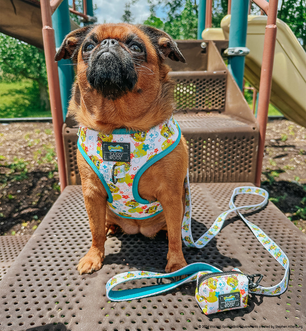 Dog Adjustable Harness - SpongeBob SquarePants™ Bikini Bottom