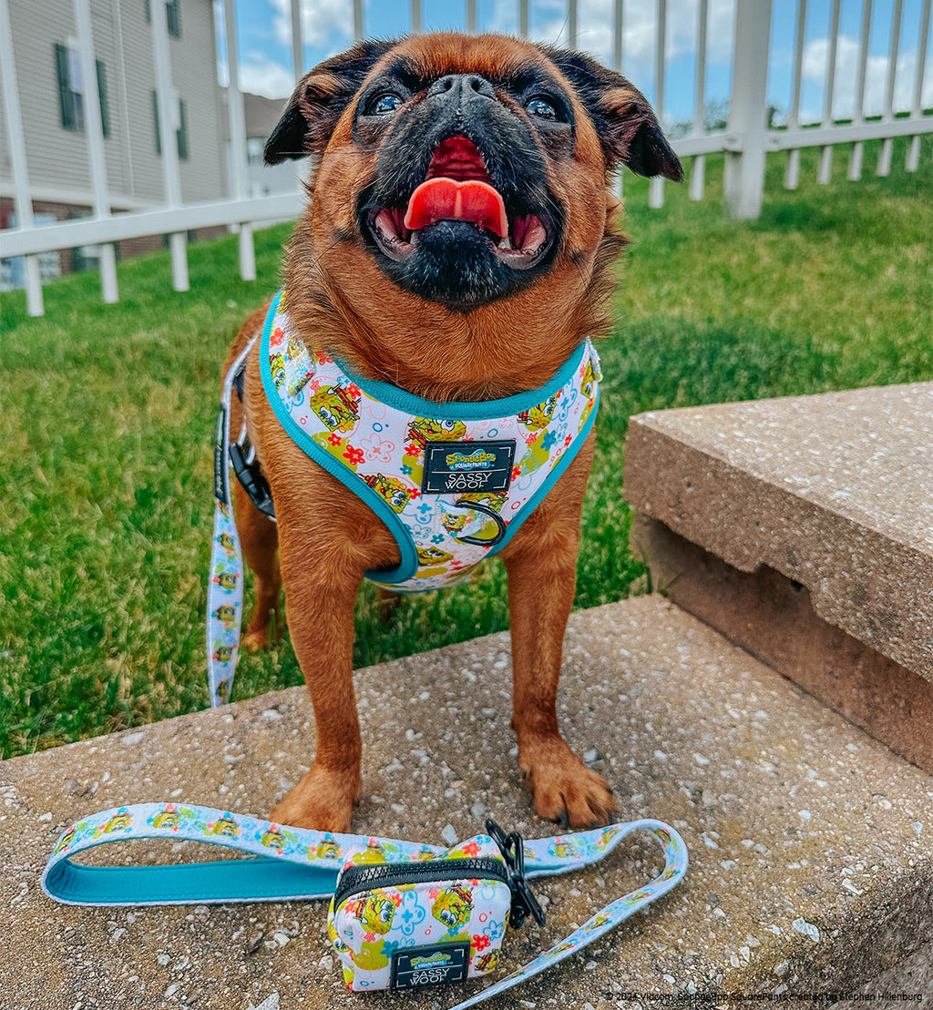 Dog Leash - SpongeBob SquarePants™ Bikini Bottom