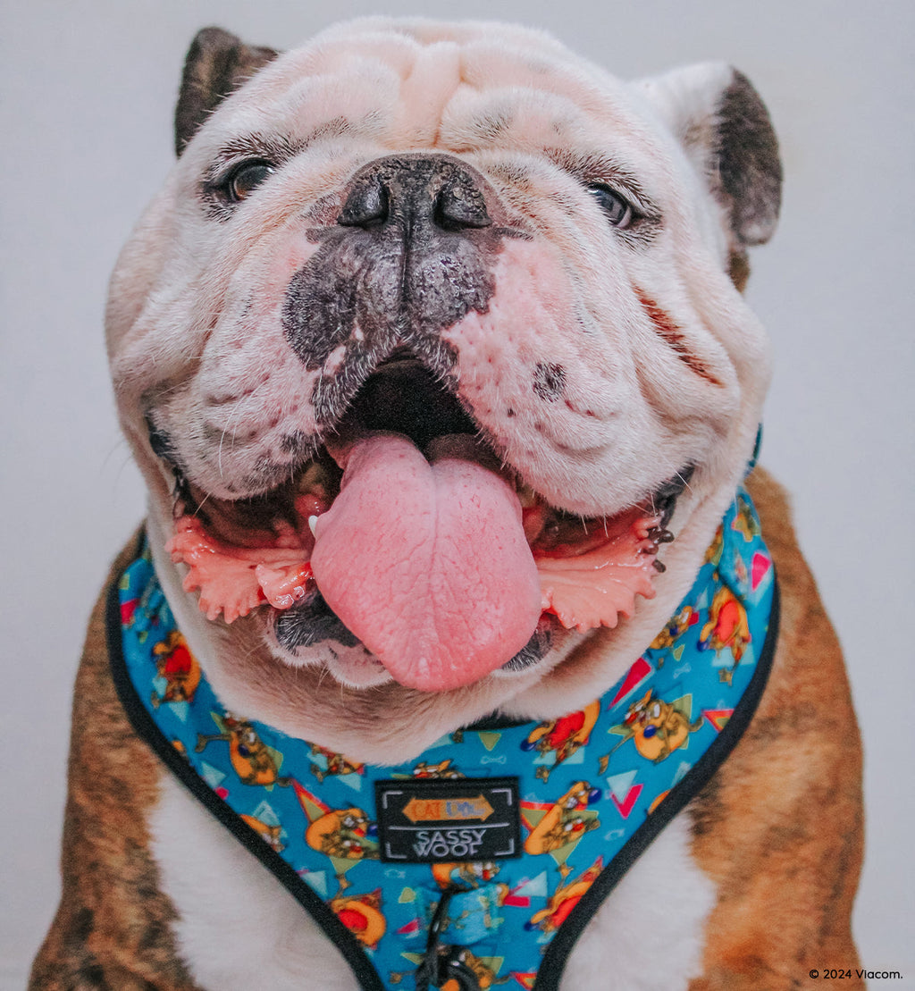 Dog Adjustable Harness - Nickelodeon CatDog™