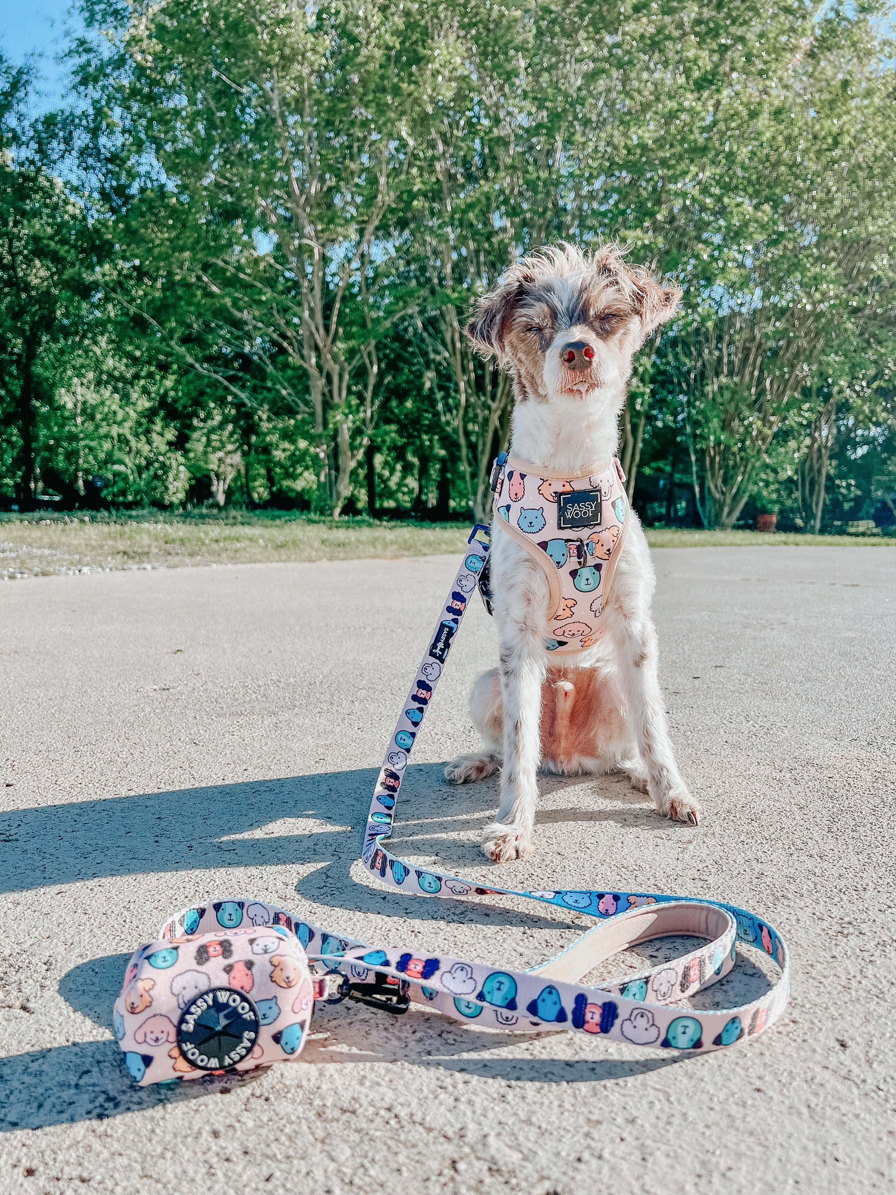 Dog Adjustable Harness - Mixed With Love
