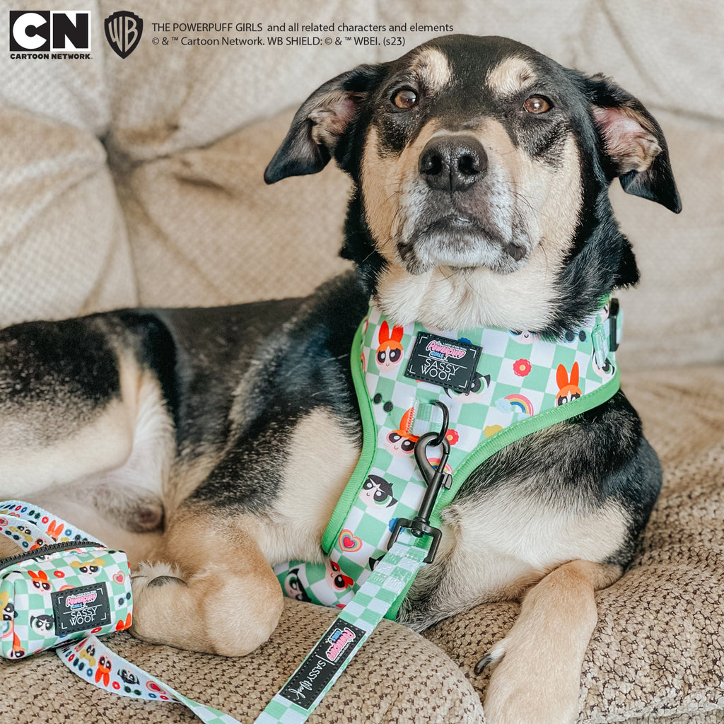 Dog Adjustable Harness - The Powerpuff Girls™ (Green)
