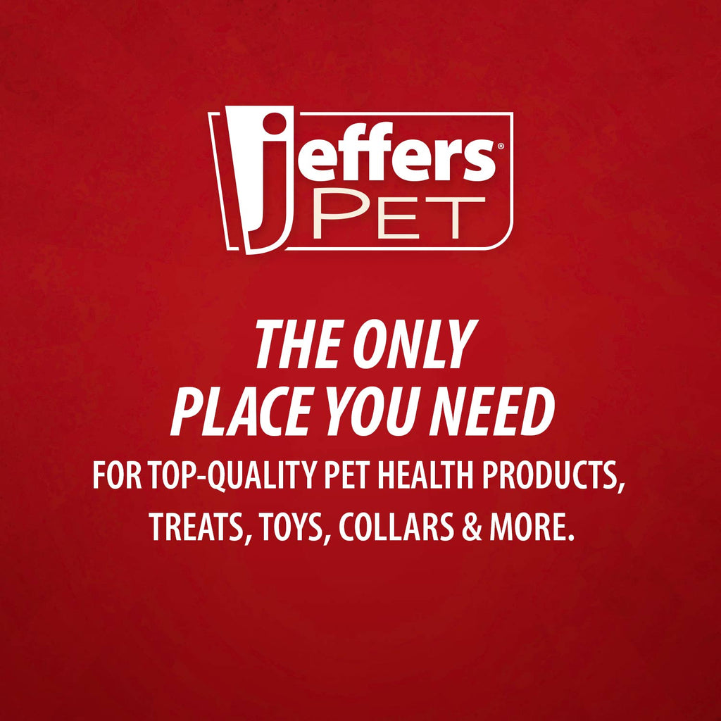Jeffers Ice Cream Cone Natural Rubber Stuffable Treat Dispensing Dental Dog Chew Toy