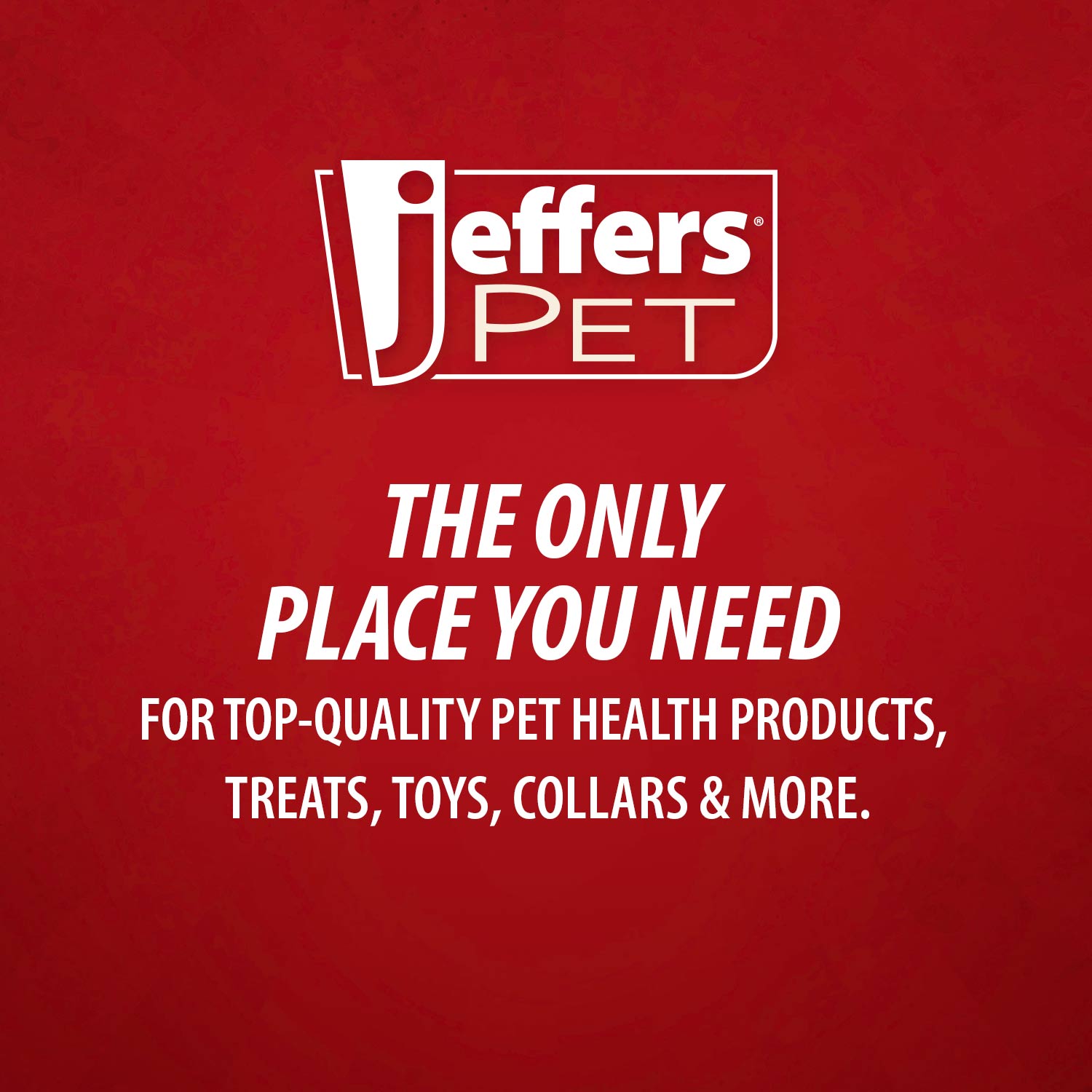 Jeffers Ice Cream Cone Natural Rubber Stuffable Treat Dispensing Dental Dog Chew Toy