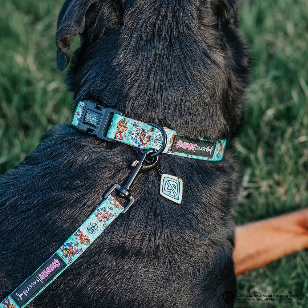 Collar Tag - Scooby-Doo™