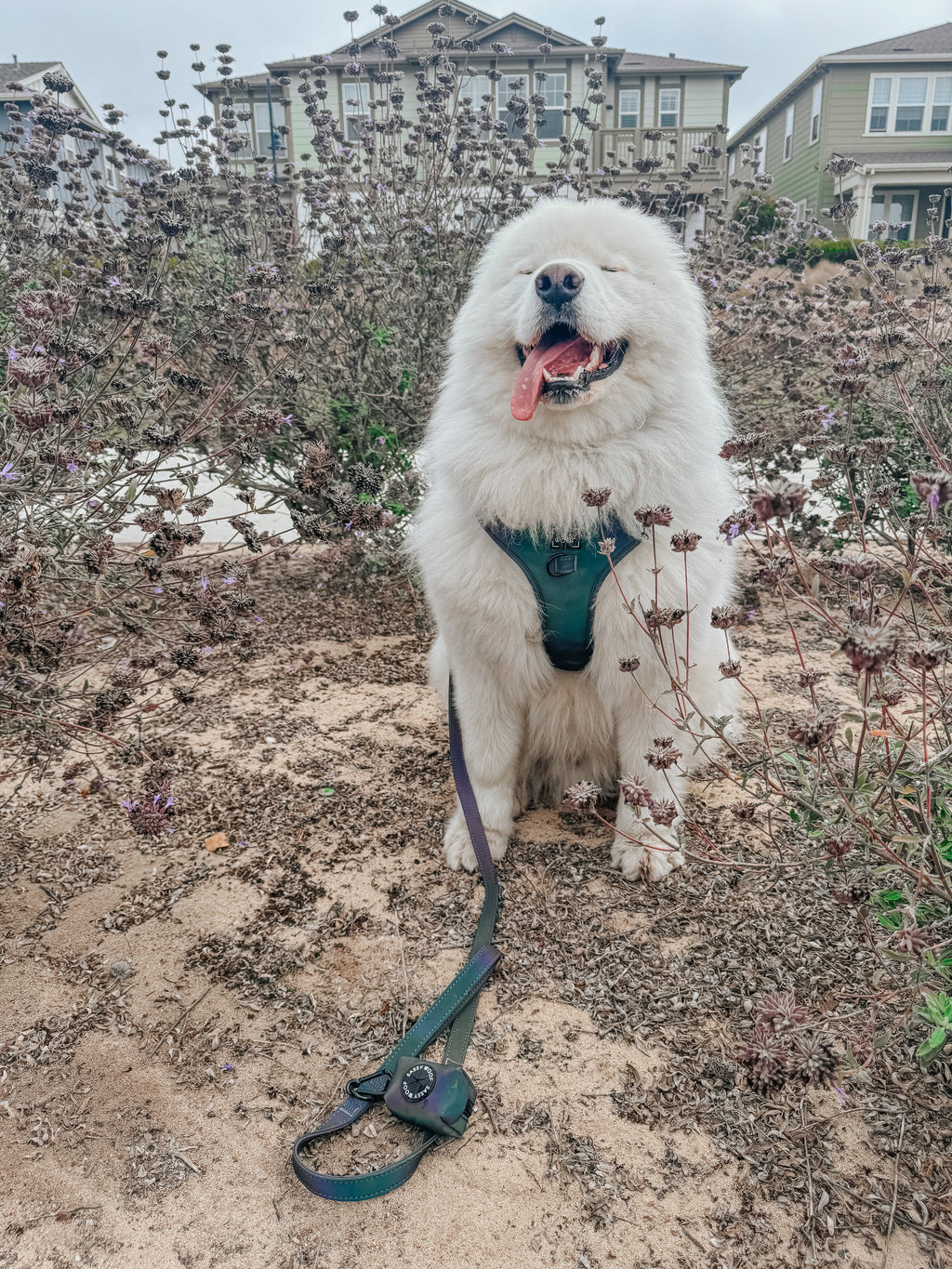 Dog Adjustable Harness - Reflection
