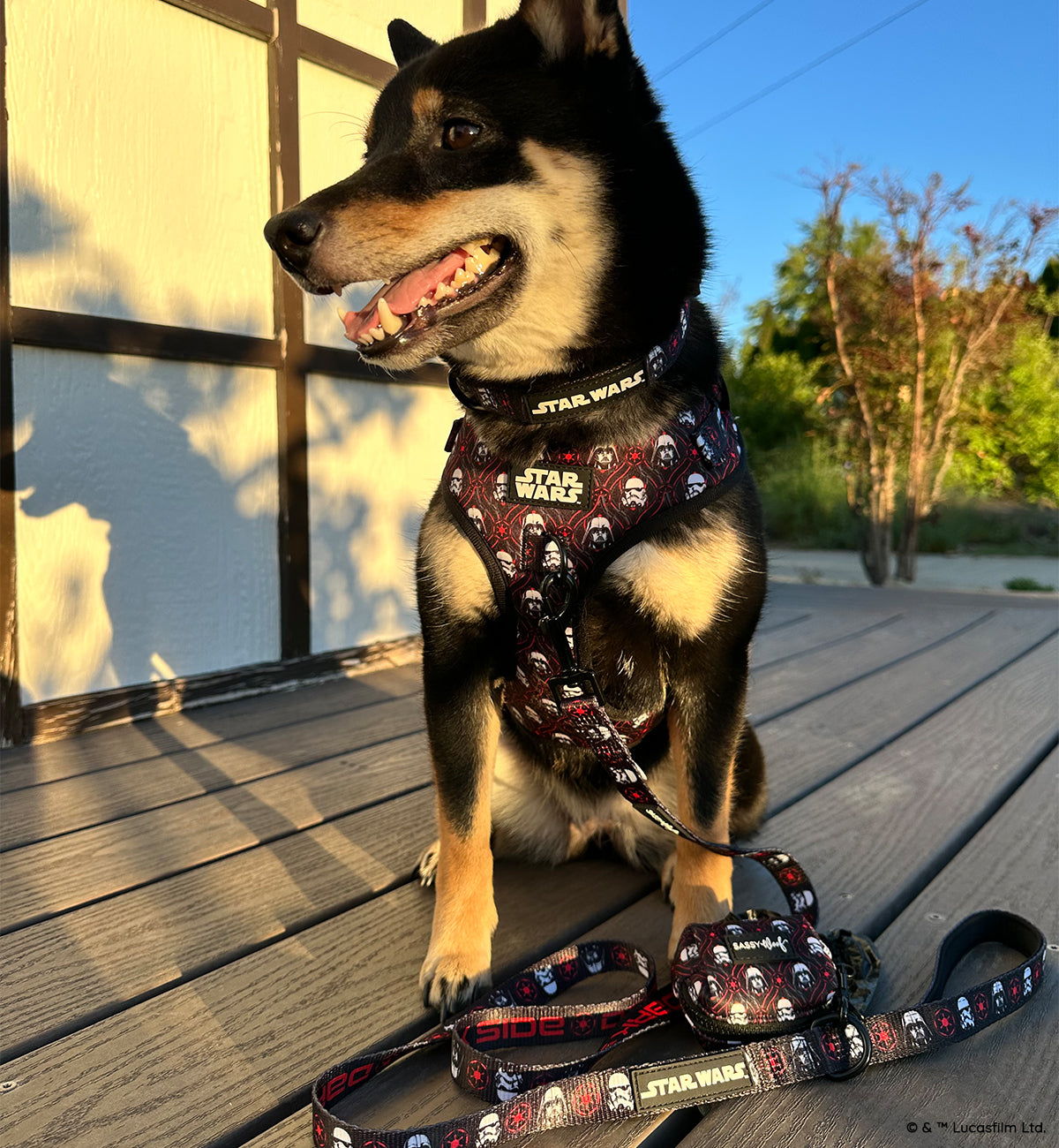 Dog Adjustable Harness - STAR WARS™ The Dark Side