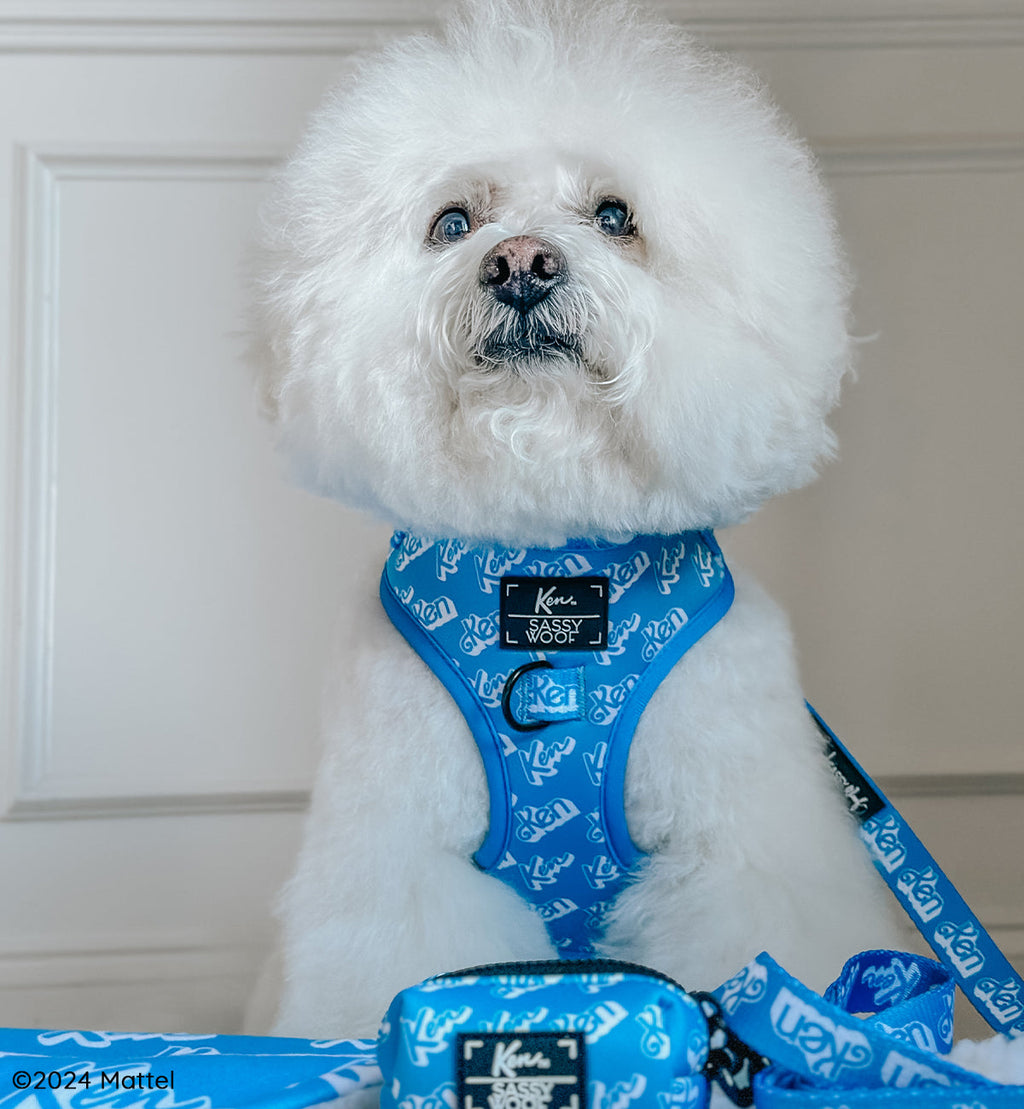 Dog Adjustable Harness - KEN™